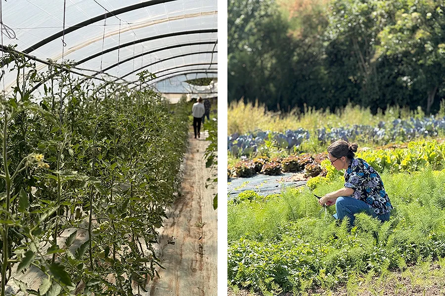 Les Jardins de la Matz : l’adresse bretonne où la gastronomie naît du potager - France.fr et Bretagne Tourisme