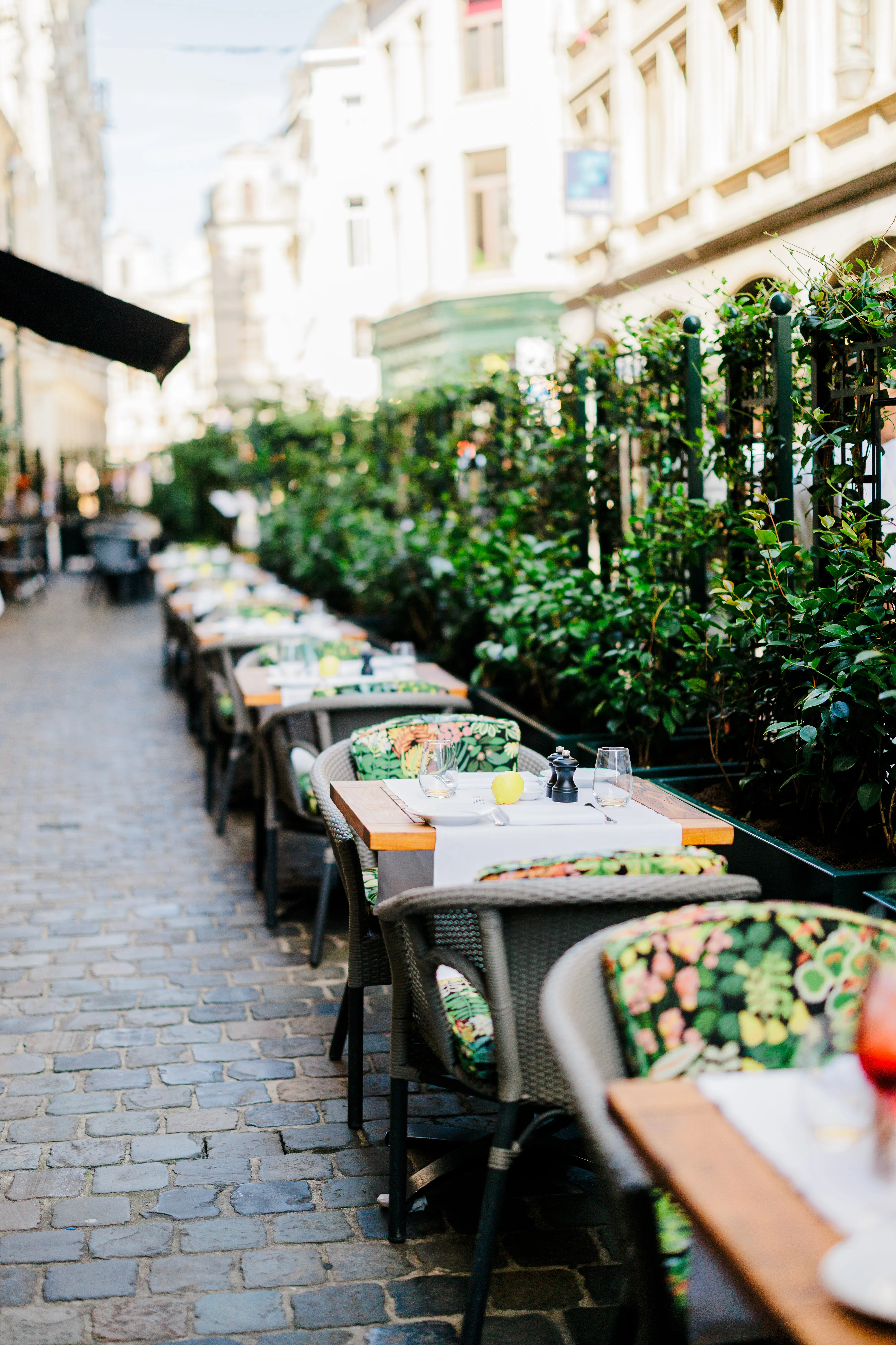 Al Fresco, la terrasse cachée pour échapper à la chaleur à Bruxelles - Gabriel Lelievre - Audrey Morard