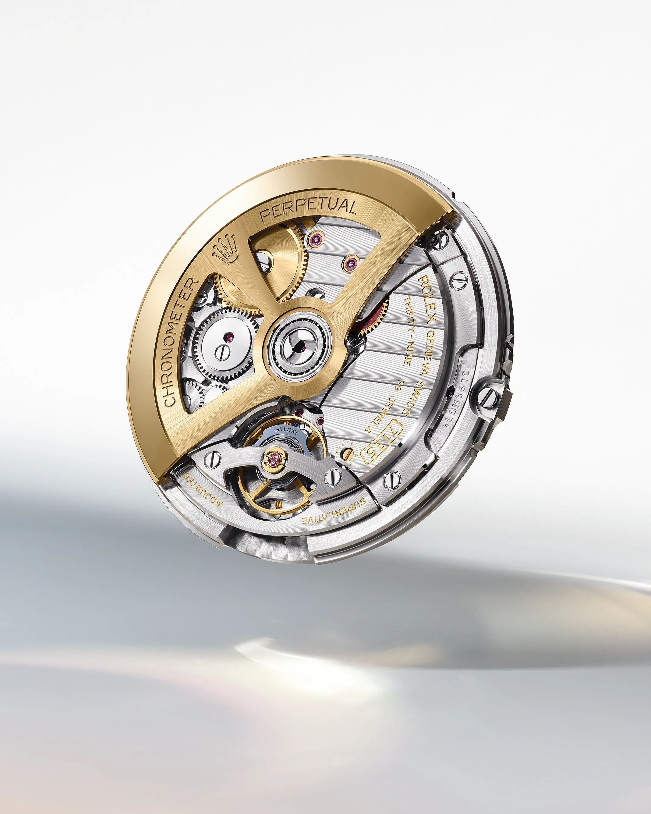Rolex Land-Dweller Rolesor gris : une icône horlogère réinventée - ©Rolex/Ulysse Frechelin - La Rédaction