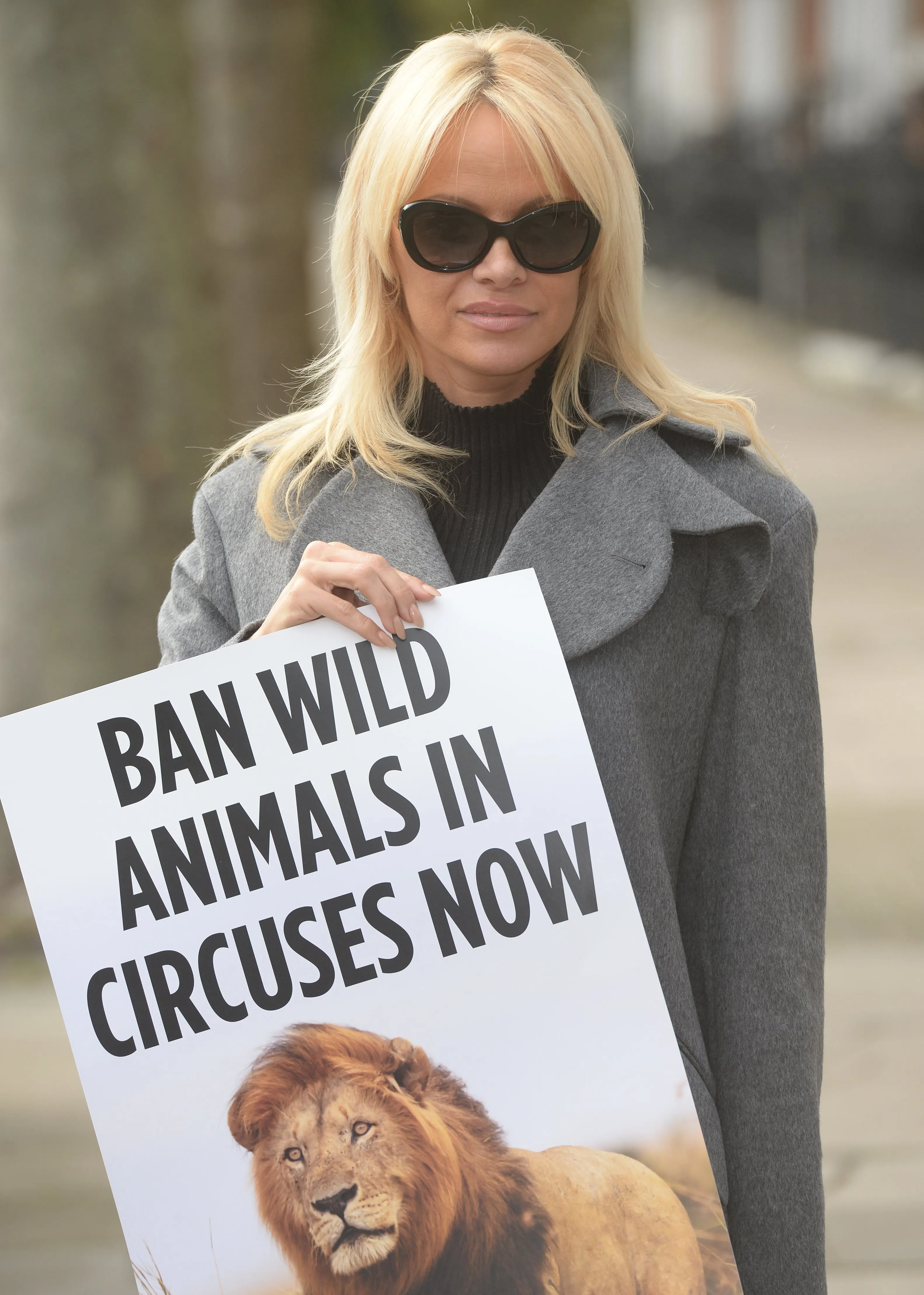 L’art d’être une icône (7/8) : Pamela Anderson, la revanche d’une blonde - Photo News - Audrey Morard