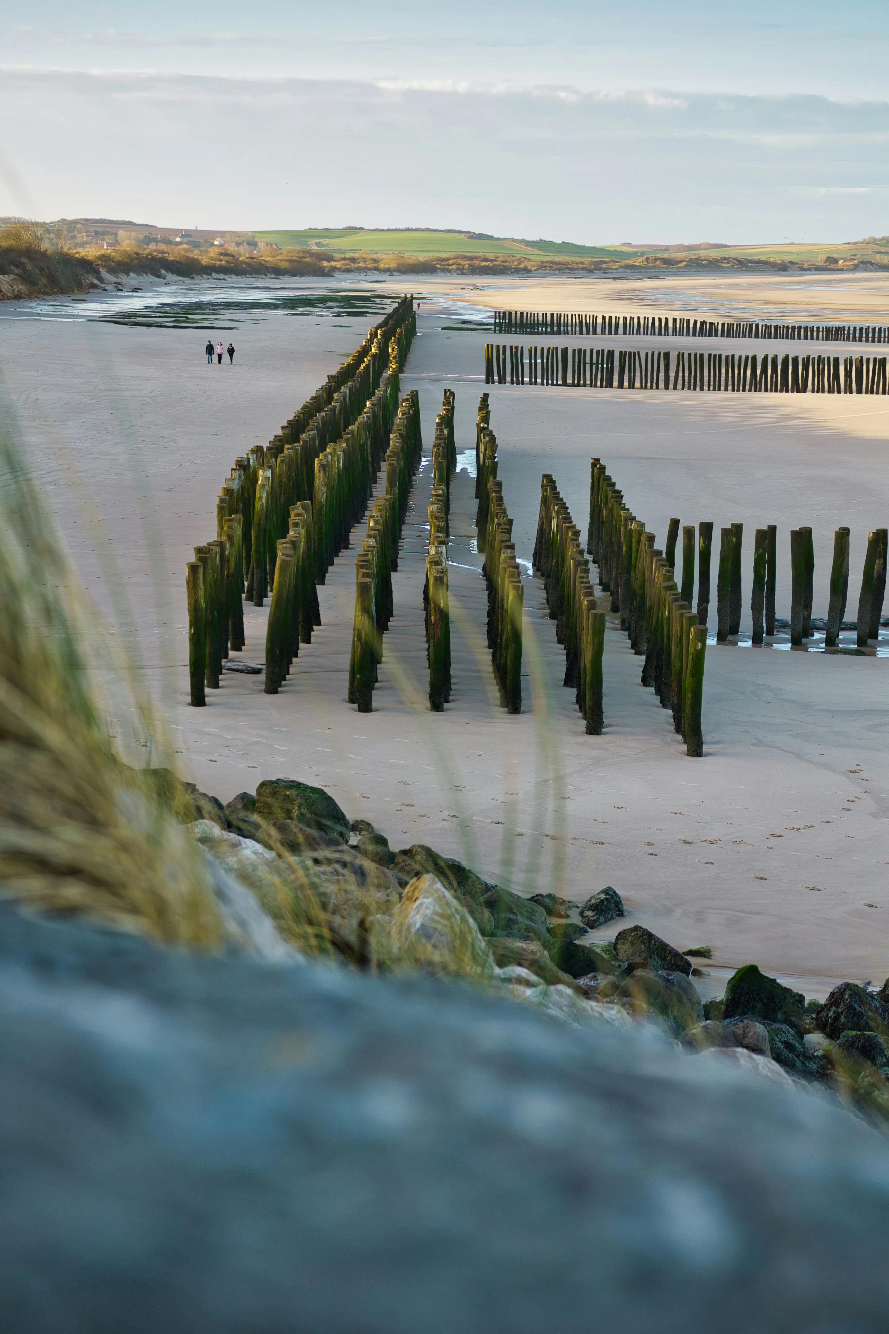 Comment le Nord de la France est devenu la nouvelle place to be - Unsplash - Audrey Morard