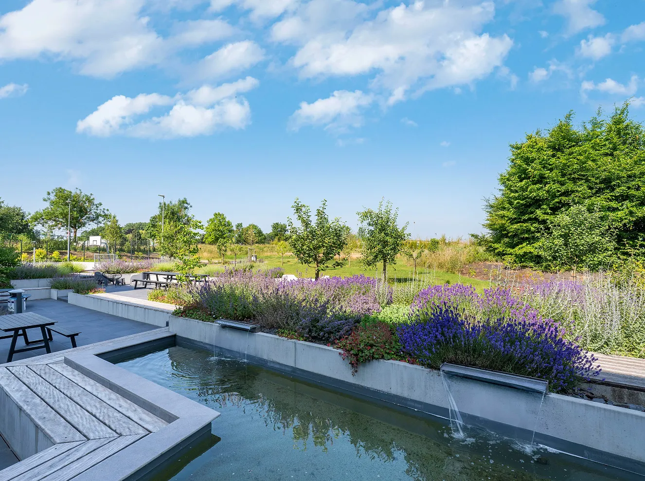 Voici les plus beaux jardins privés de Wallonie - Kurt Dekeyzer – Concours de l’Entrepreneur de Jardins de Wallonie 2025 - Audrey Morard