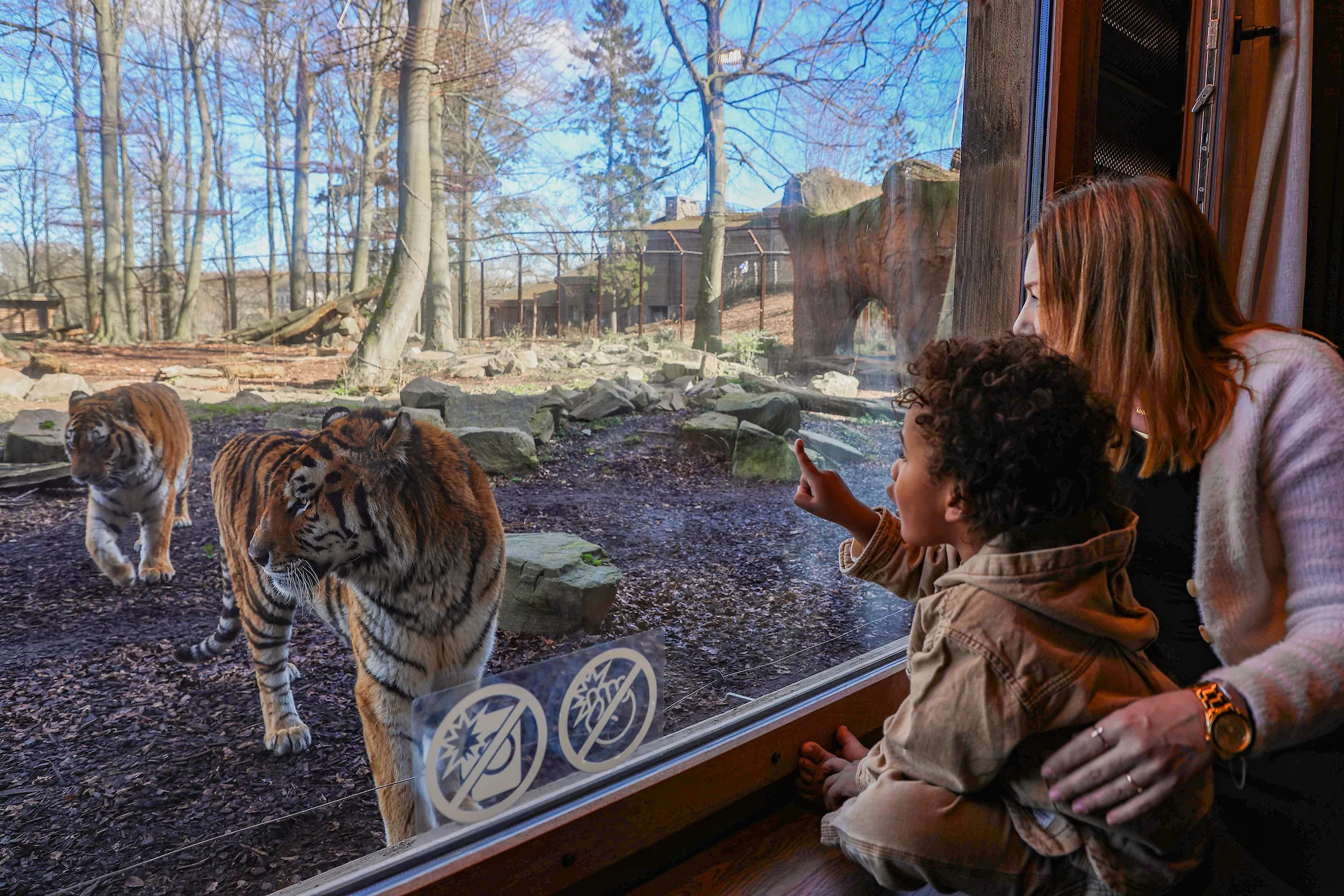 Pairi Daiza continue de rayonner à l’international avec deux nouvelles récompenses - Pairi Daiza - Audrey Morard