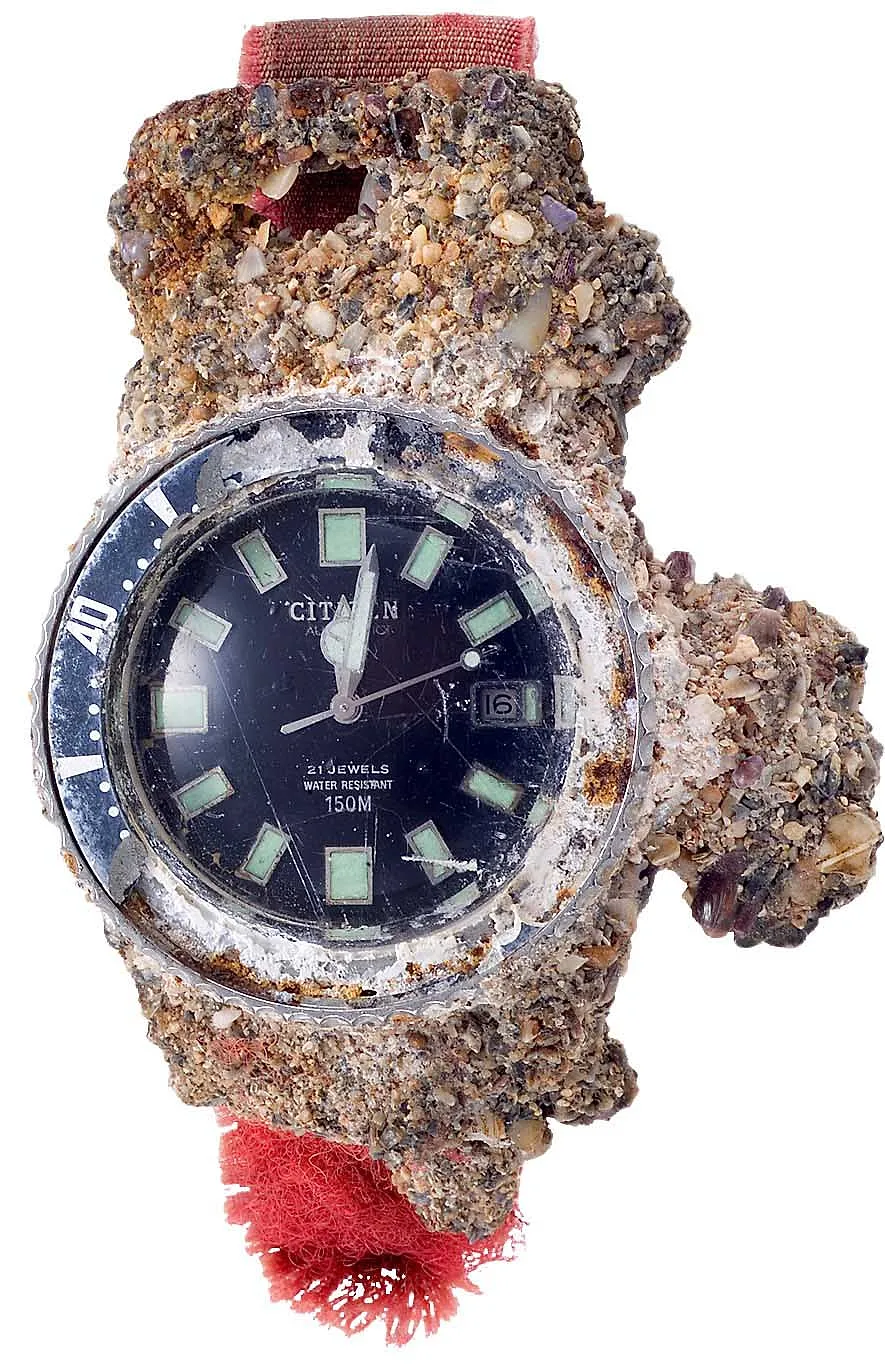 Citizen Promaster Diver 200m « Fujitsubo » : la montre née des abysses - DR - La Rédaction