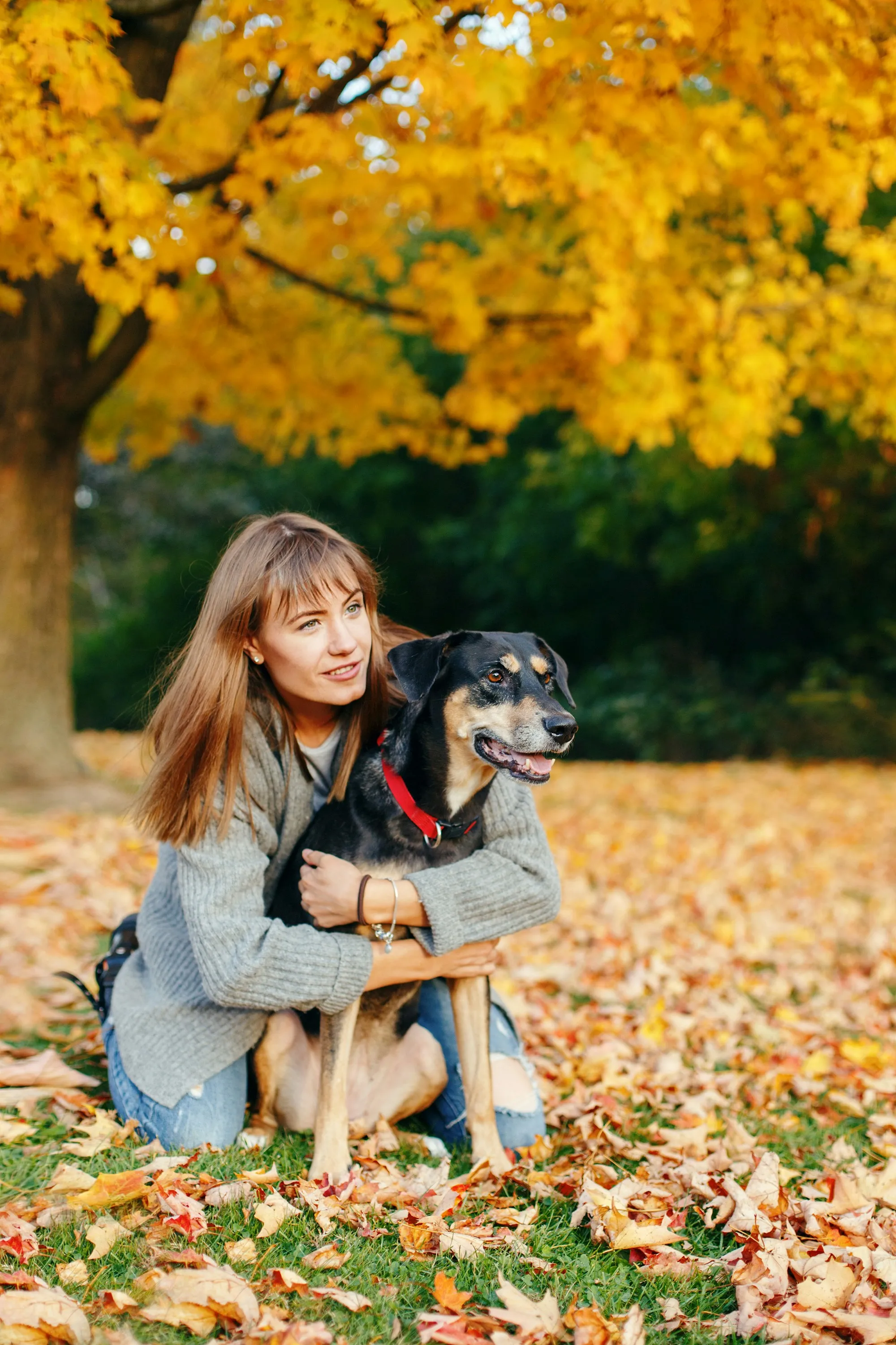 Pourquoi les animaux de compagnie sont si essentiels à notre bien-être ? - Unsplash - Audrey Morard