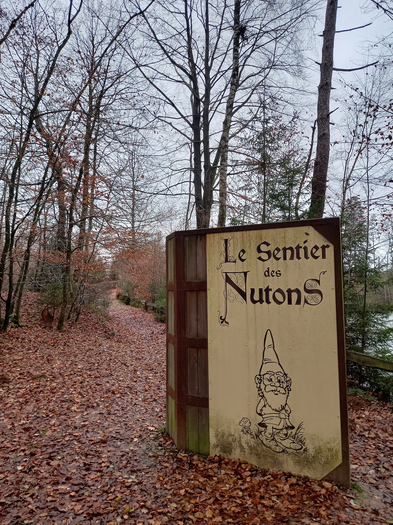 Cinq magnifiques balades pour profiter des dernières couleurs de l’automne ce 11 novembre - Sophie Dekkers - Audrey Morard