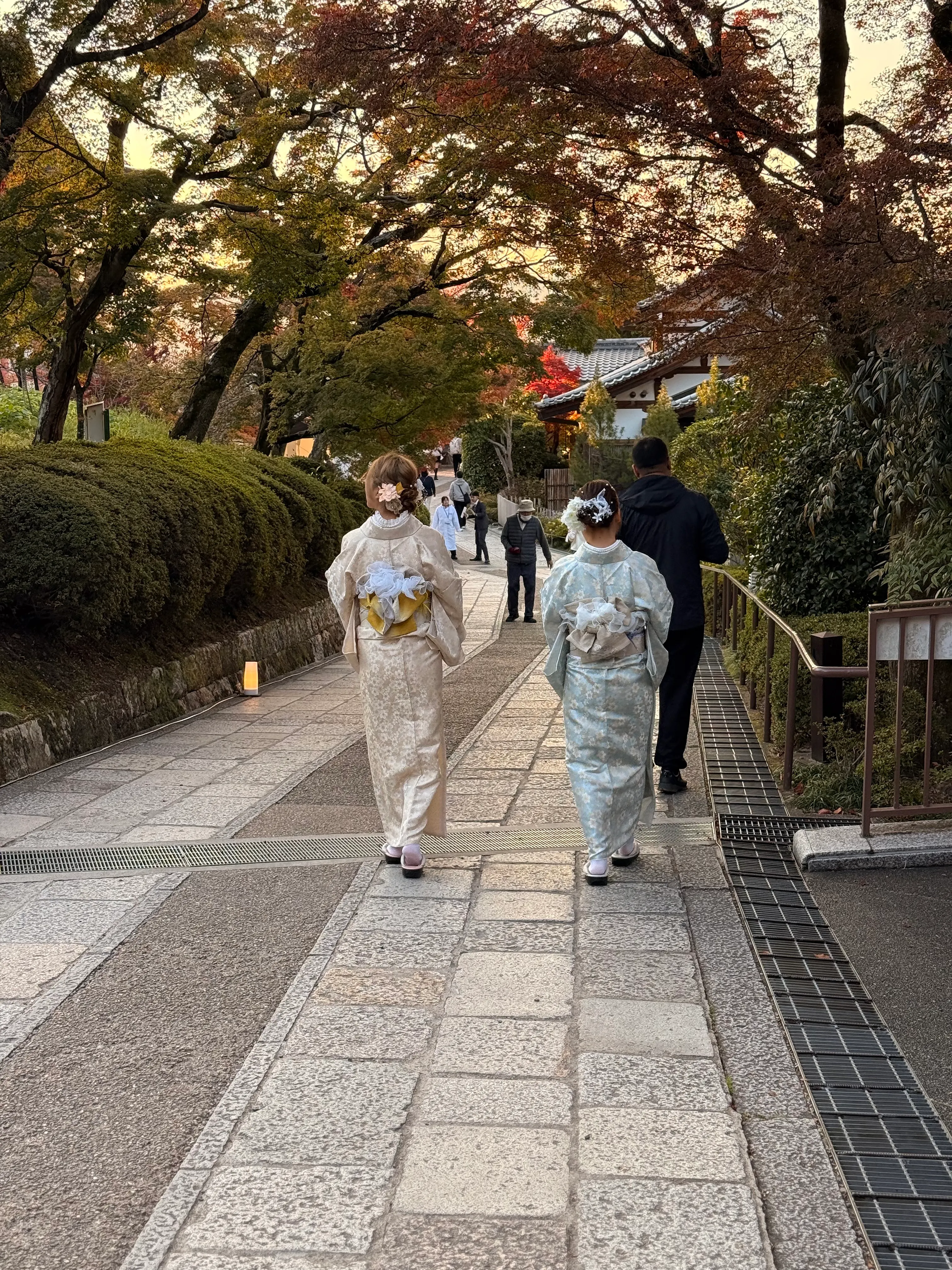 Vieillir autrement : ce que le Japon a compris bien avant nous - Anissa Hezzaz