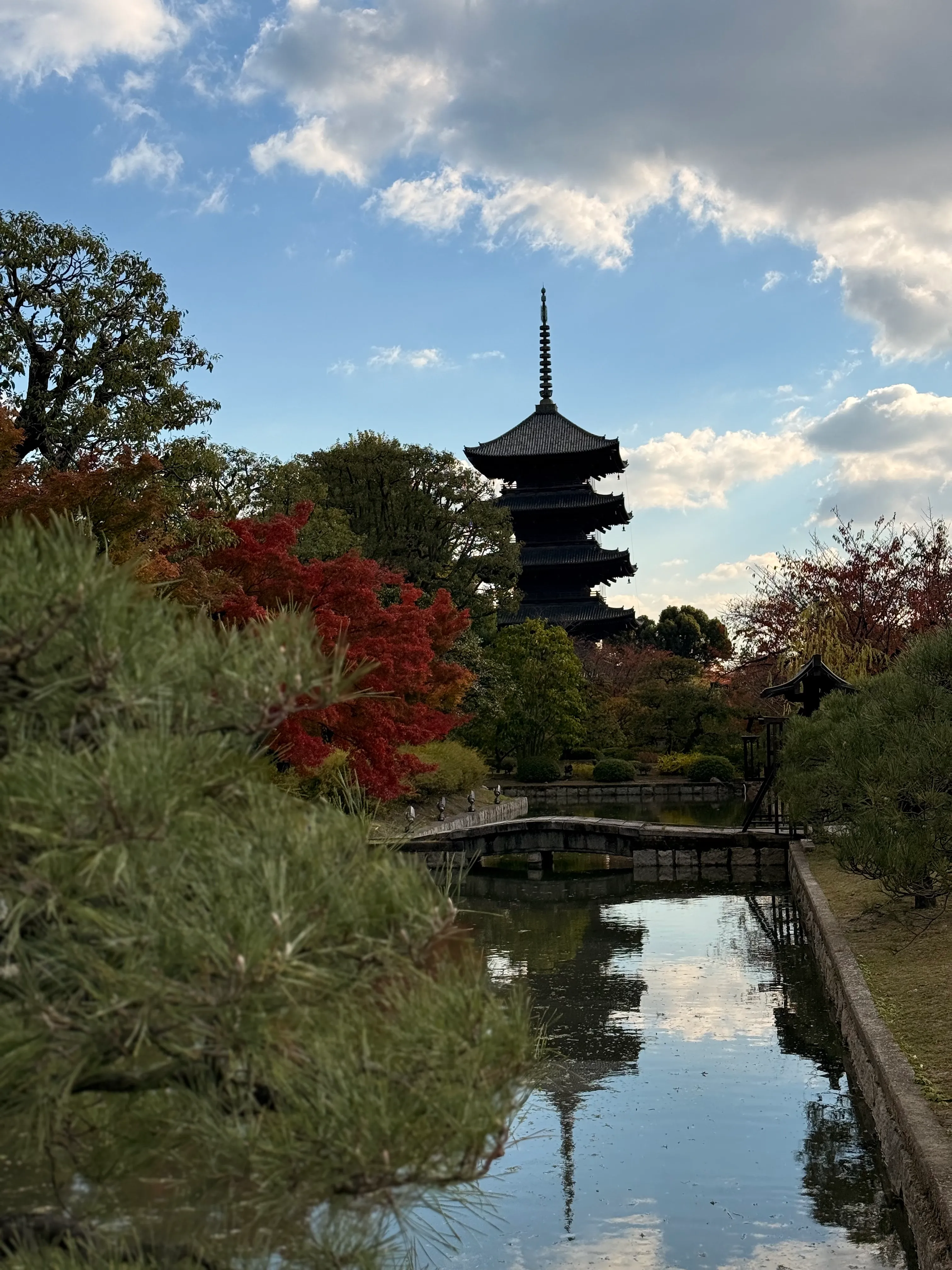 Vieillir autrement : ce que le Japon a compris bien avant nous - Anissa Hezzaz