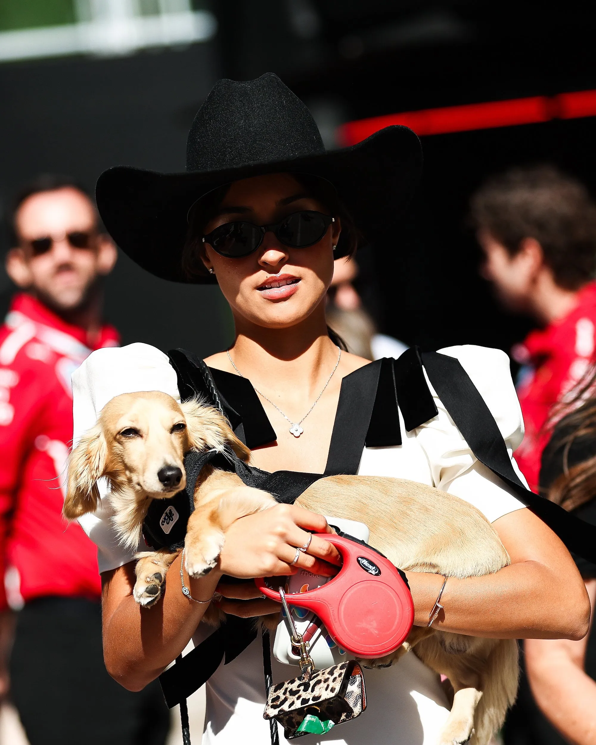 Du teckel de Charles Leclerc aux it-dogs d’Instagram : pourquoi la dogmania explose - Photo News/Eric Alonso - Audrey Morard
