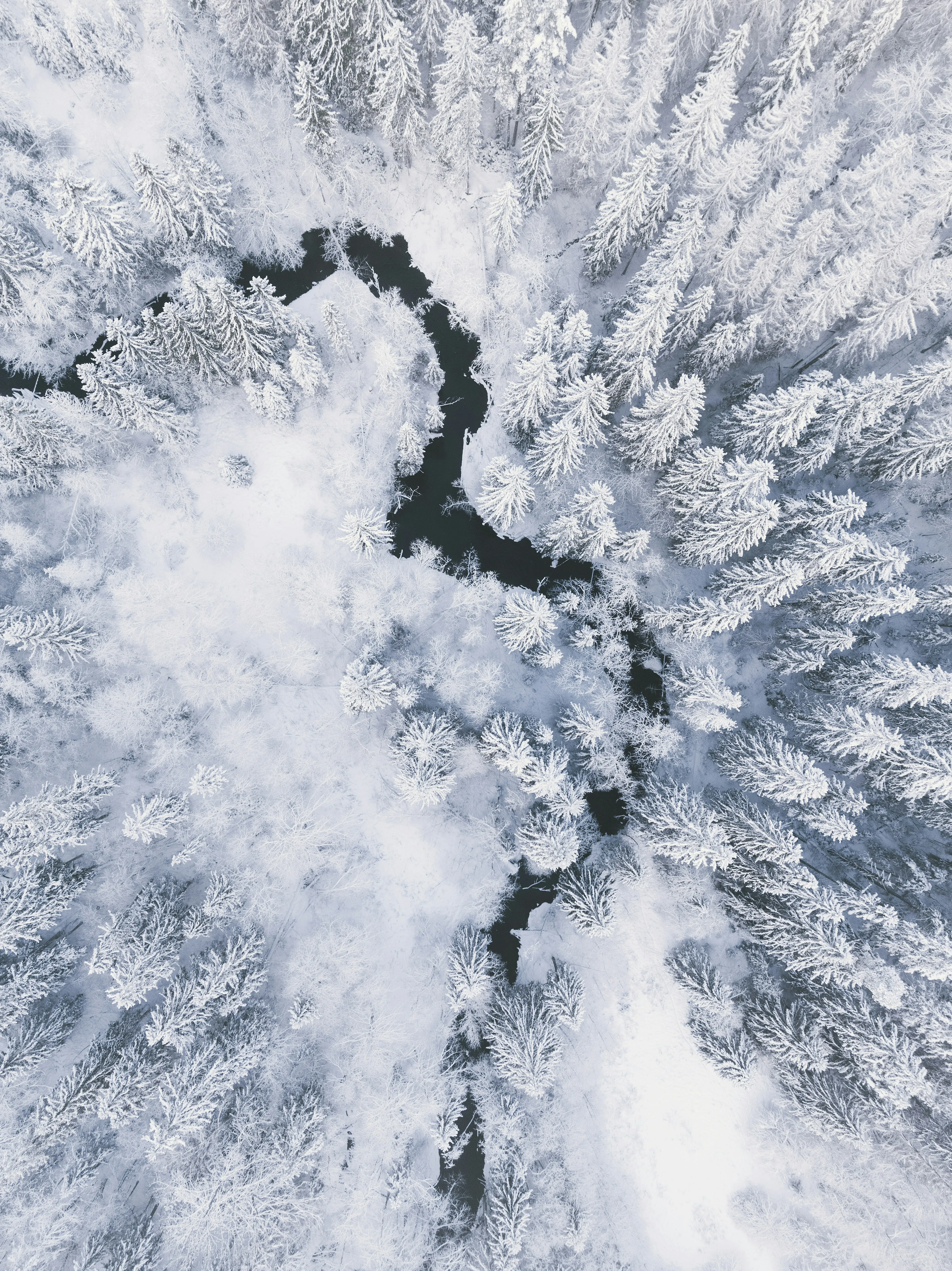Laponie, Canada, Japon : Pourquoi les Belges partent désormais au bout du monde pour skier ? - Unsplash - Anissa Hezzaz
