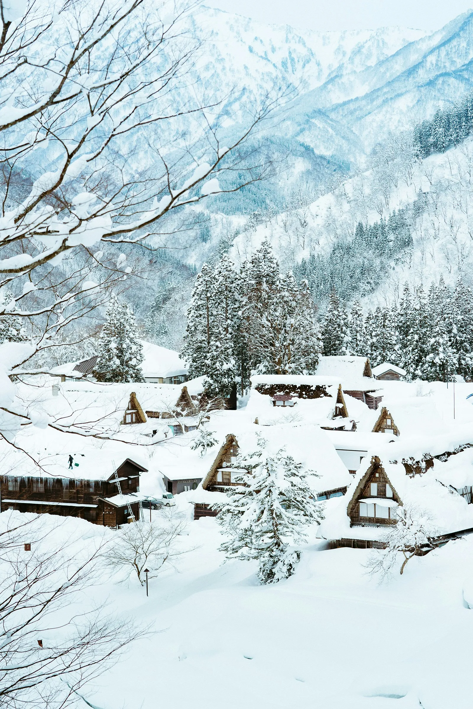 Laponie, Canada, Japon : Pourquoi les Belges partent désormais au bout du monde pour skier ? - Unsplash - Anissa Hezzaz
