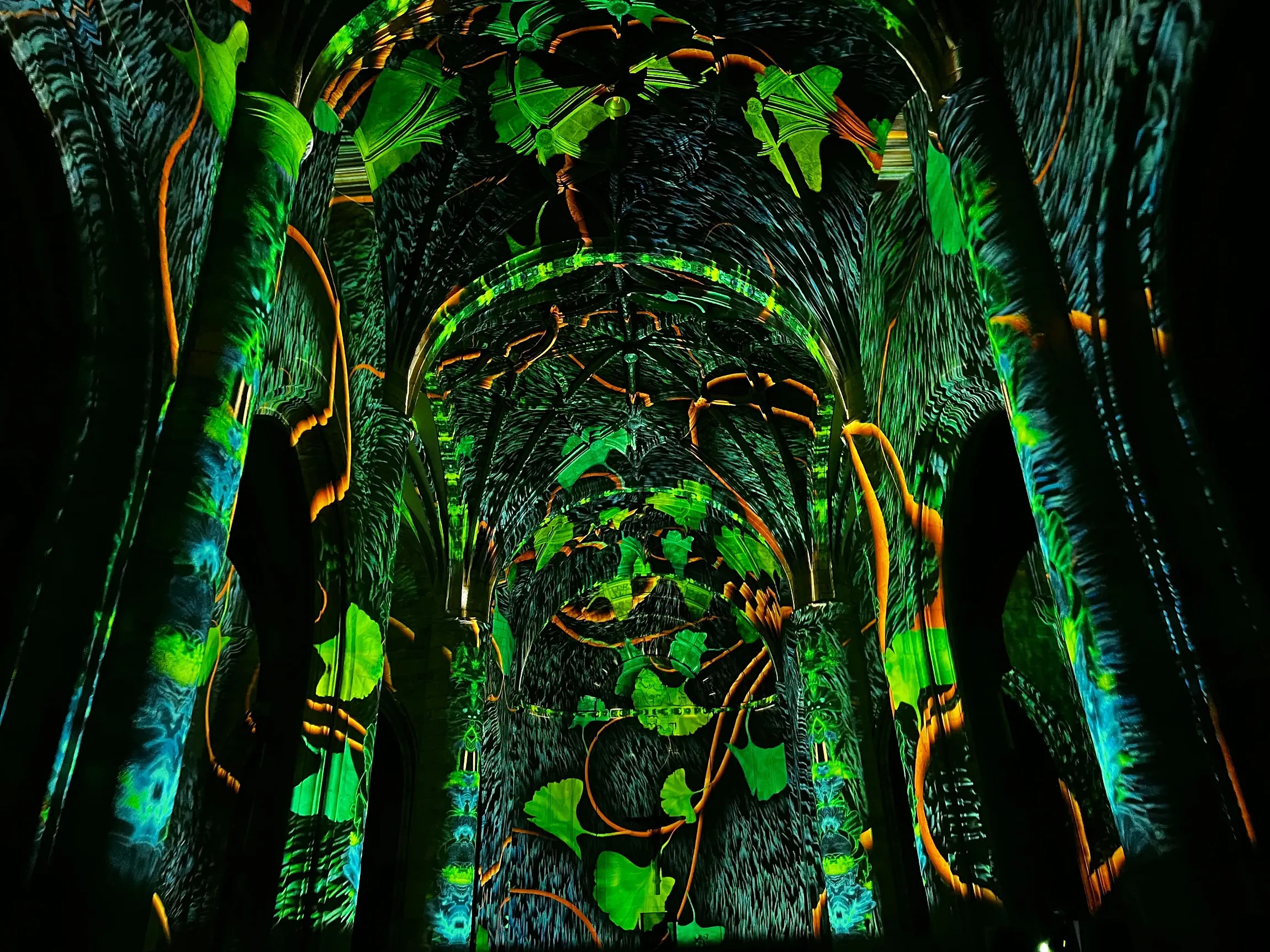 Un spectacle européen de sons et lumières va illuminer Liège pour la première fois - D.R - Audrey Morard avec Belga