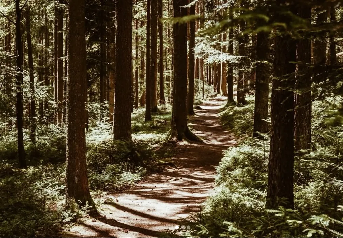 La Forêt-Noire, le dépaysement nature idéal à quelques heures de la Belgique - D.R - Marie Honnay