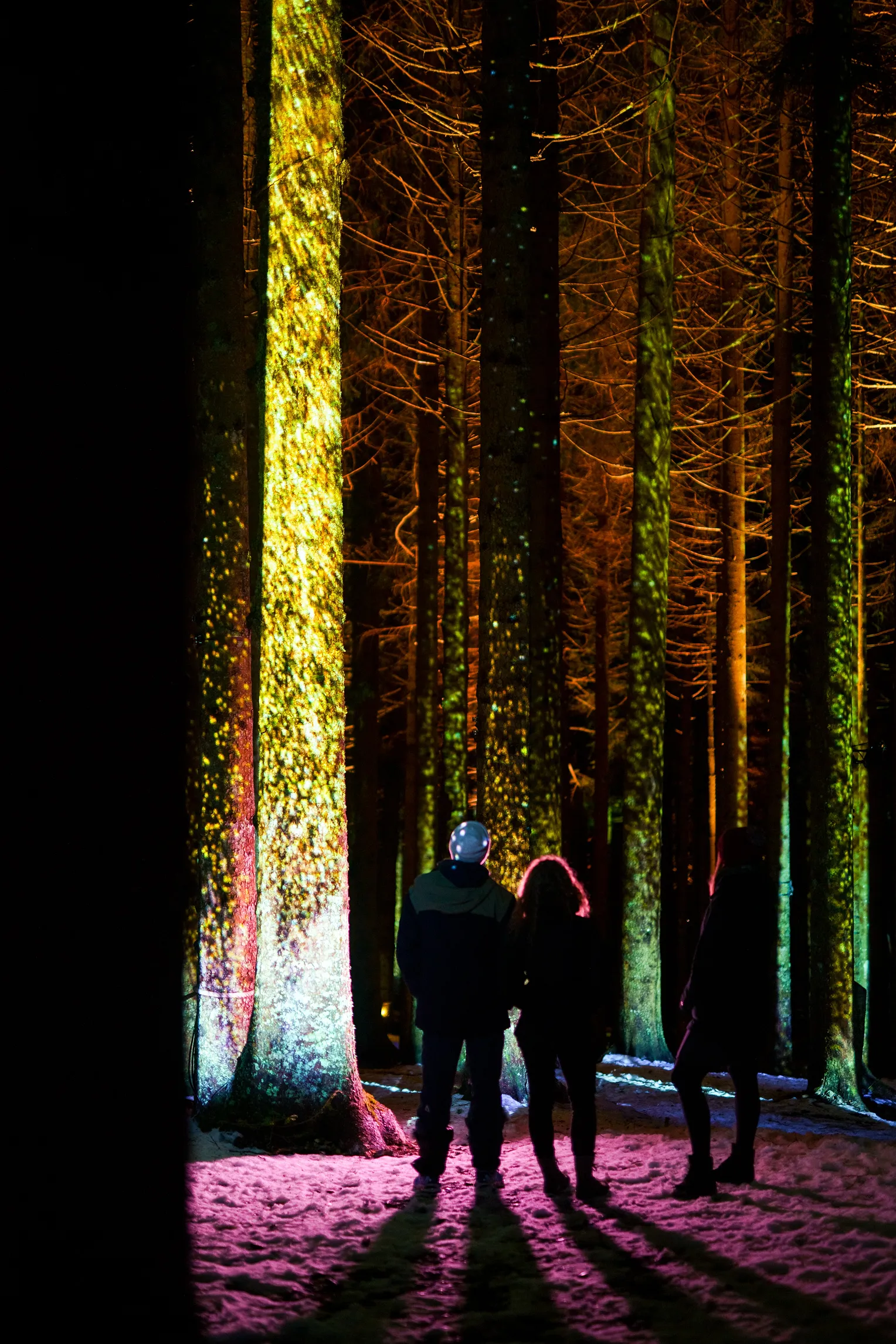 Tyrolienne XXL, parcours lumineux, ULM… comment la montagne française se réinvente - Léa Rifaut