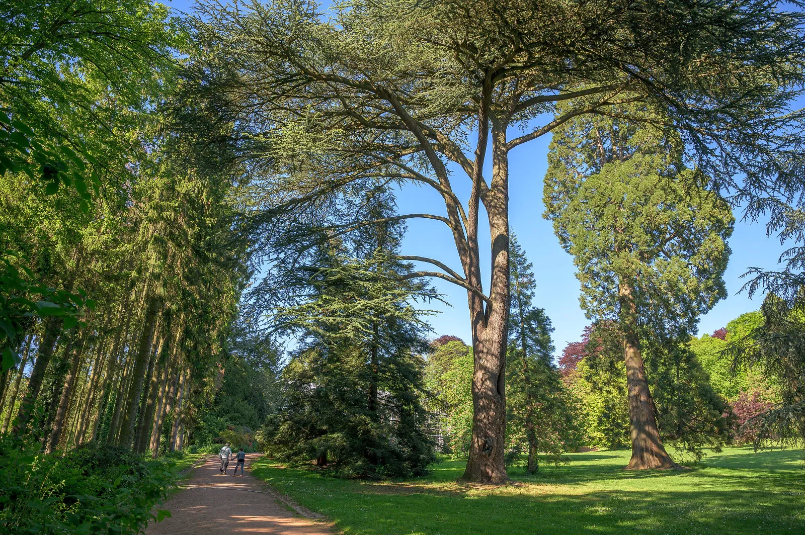 Où se détendre au soleil ? Sept parcs à (re)découvrir en Belgique - Martin Dellicour - Audrey Morard
