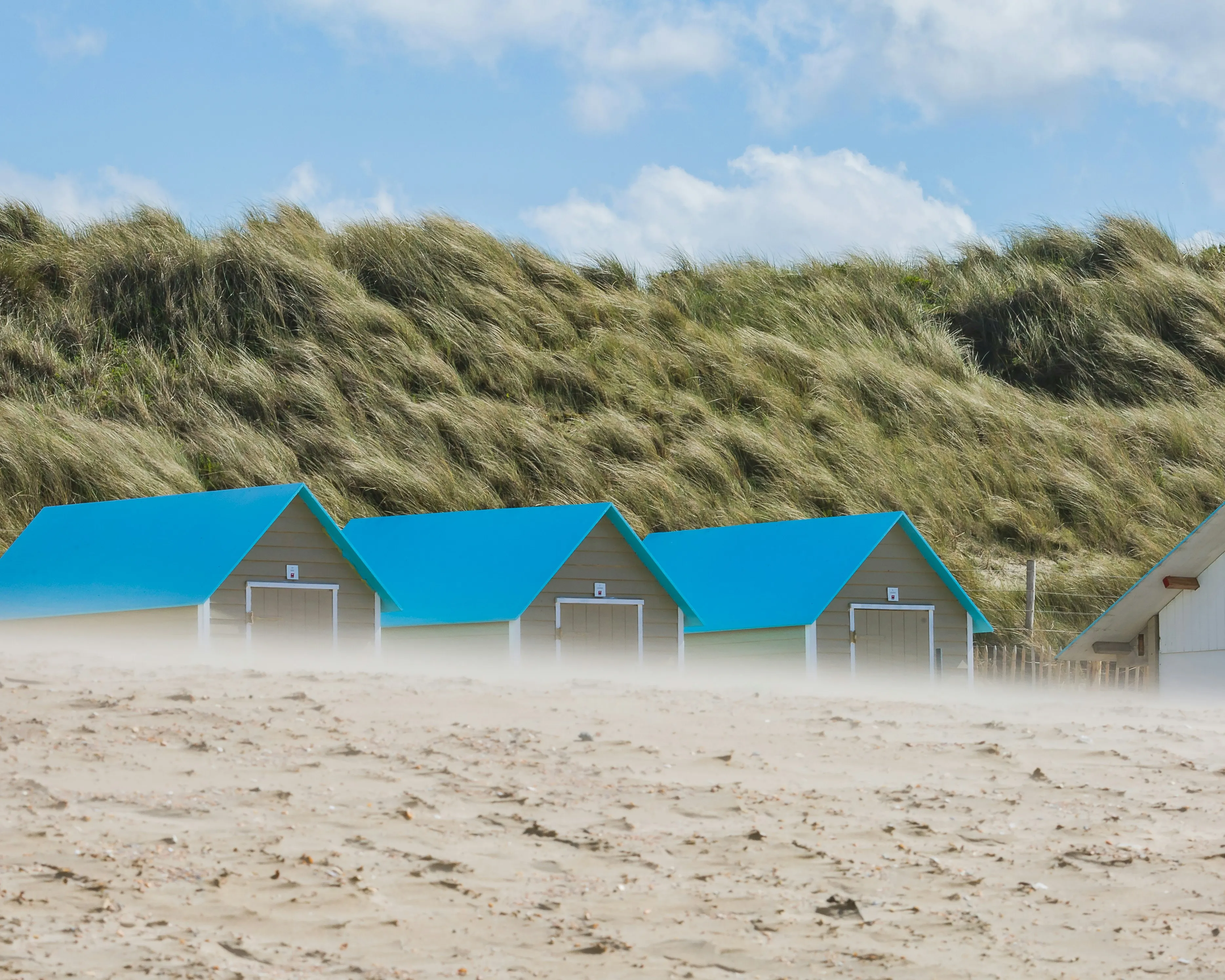 Que faire en Belgique ce week-end ? Quatre idées de sorties les 28 février et 1er mars - Unsplash - Lucile Moyon