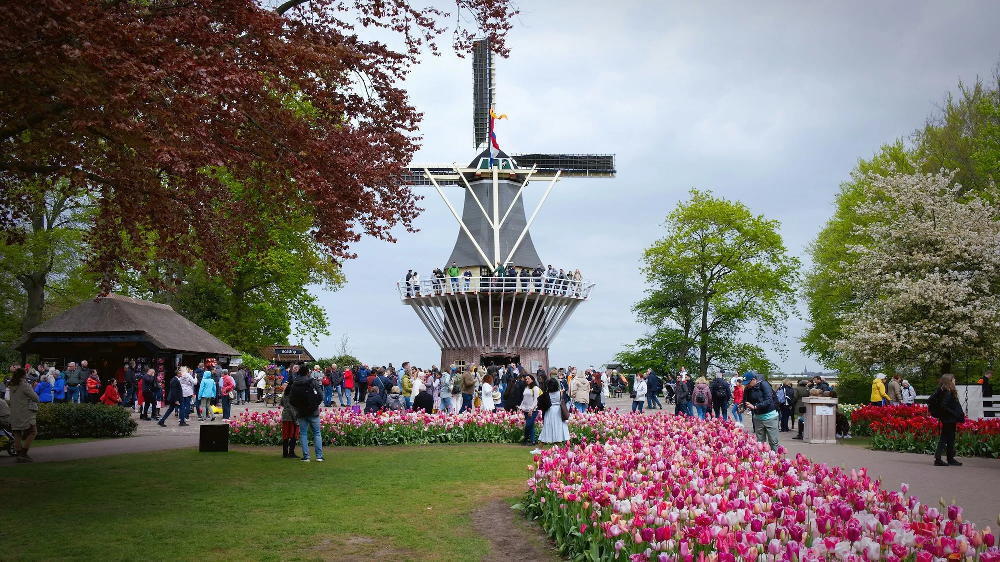 Les plus beaux spectacles du printemps à vivre en Belgique et aux alentours - Unsplash - Audrey Morard