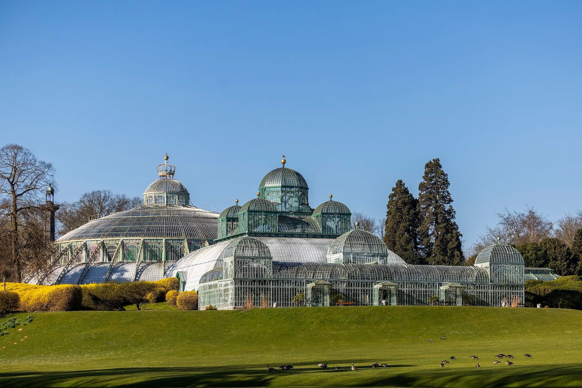 Serres royales de Laeken : la billetterie ouvre ce vendredi - Photo News - Audrey Morard