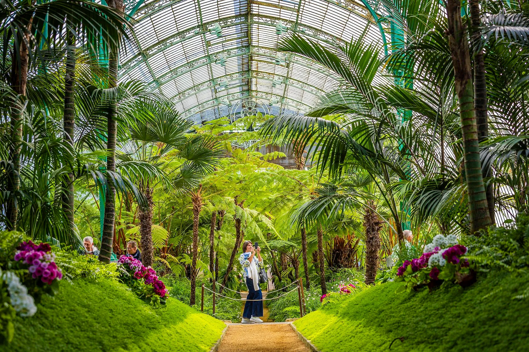 Serres royales de Laeken : une grande nouveauté attend les visiteurs en 2026 - Photo News - Audrey Morard