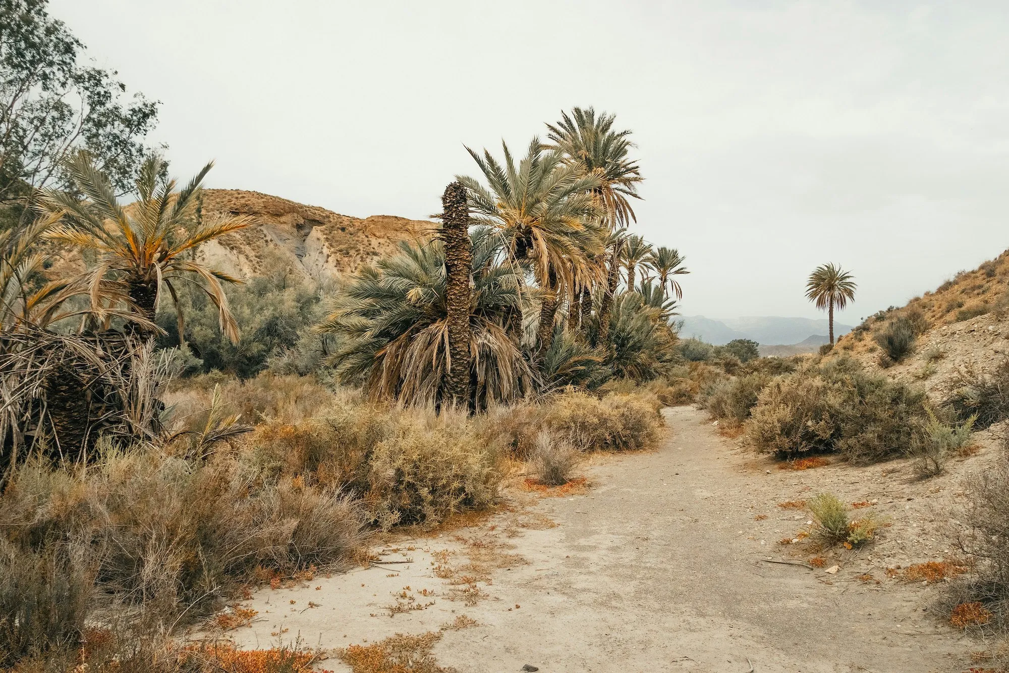 Vacances à Dubaï : ce lieu proche de chez nous promet un paysage tout aussi désertique - Unsplash - Lucile Moyon
