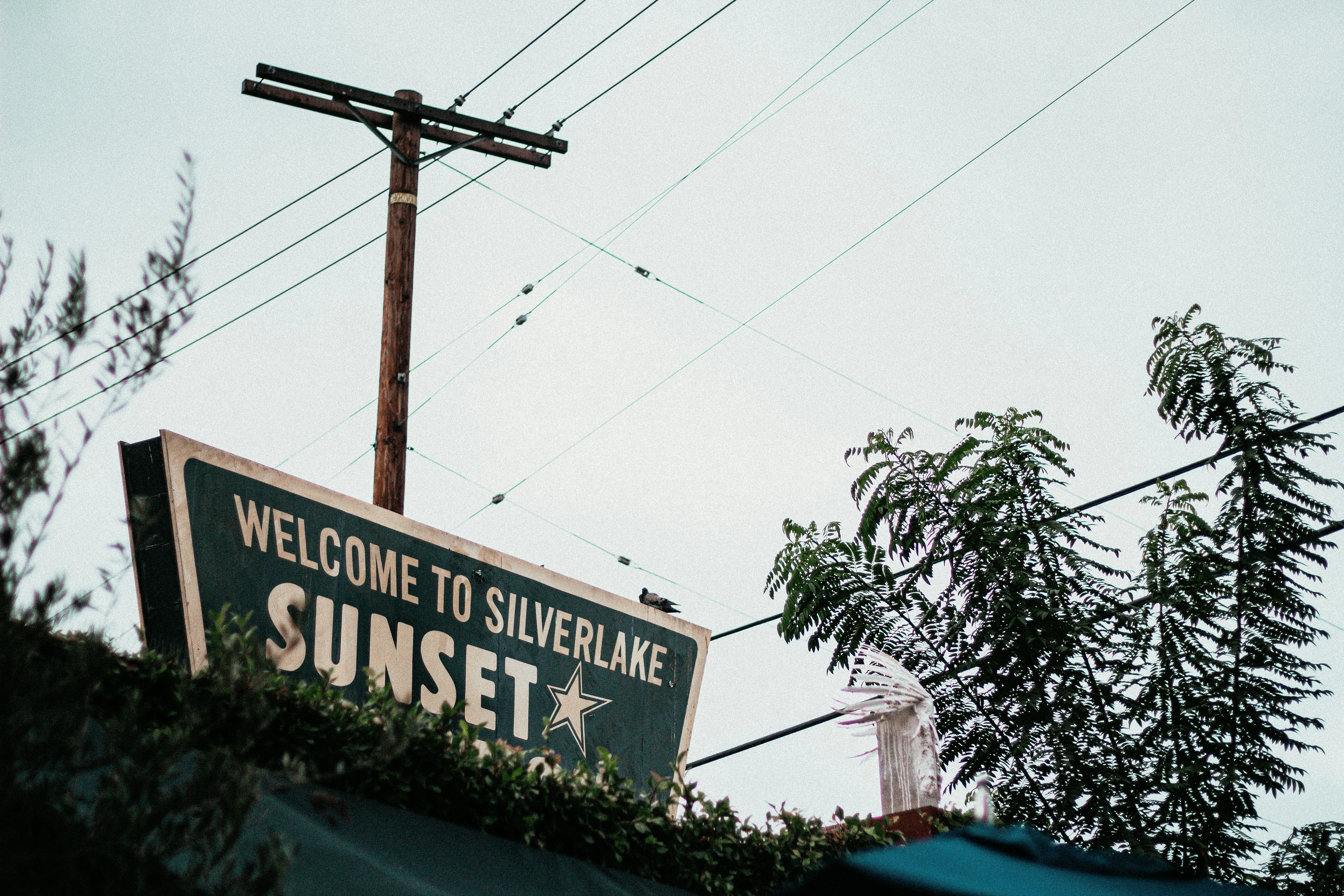 Los Angeles, voyage en technicolor dans un paradis contrasté (1/16) - Unsplash - Charlotte Vanbever