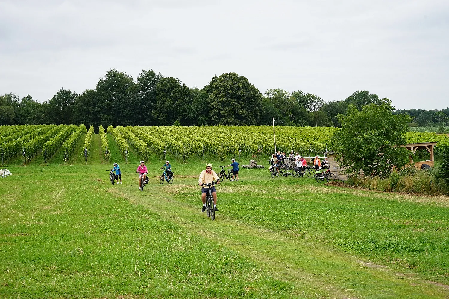 Balades : ces vignobles wallons se découvrent… à vélo - MTBW - Charlotte Smoos