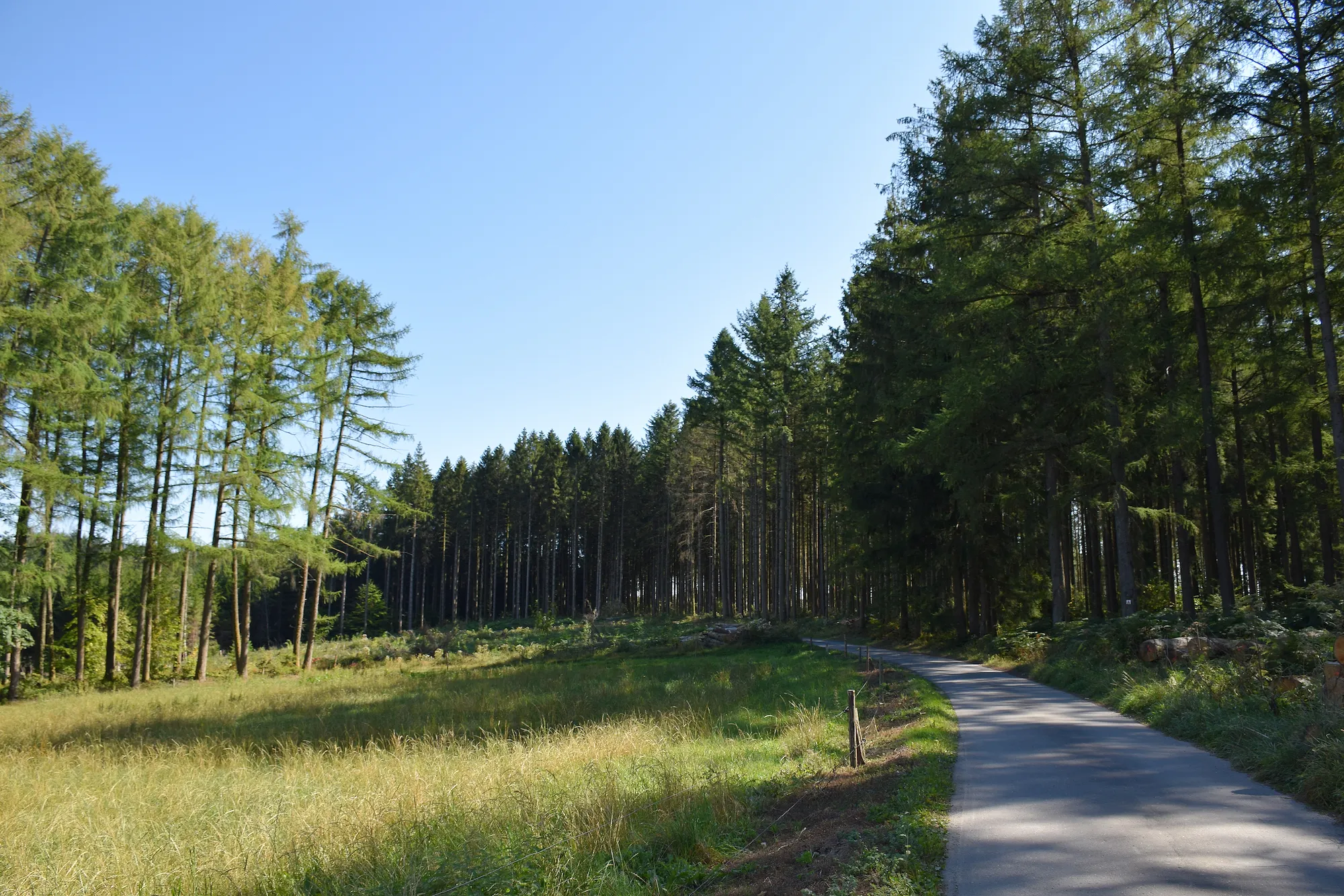 Entre lacs, forêts et vallées, ce parc naturel belge est l’endroit idéal pour des randonnées au printemps - Ingrid Jusseret - Lucile Moyon