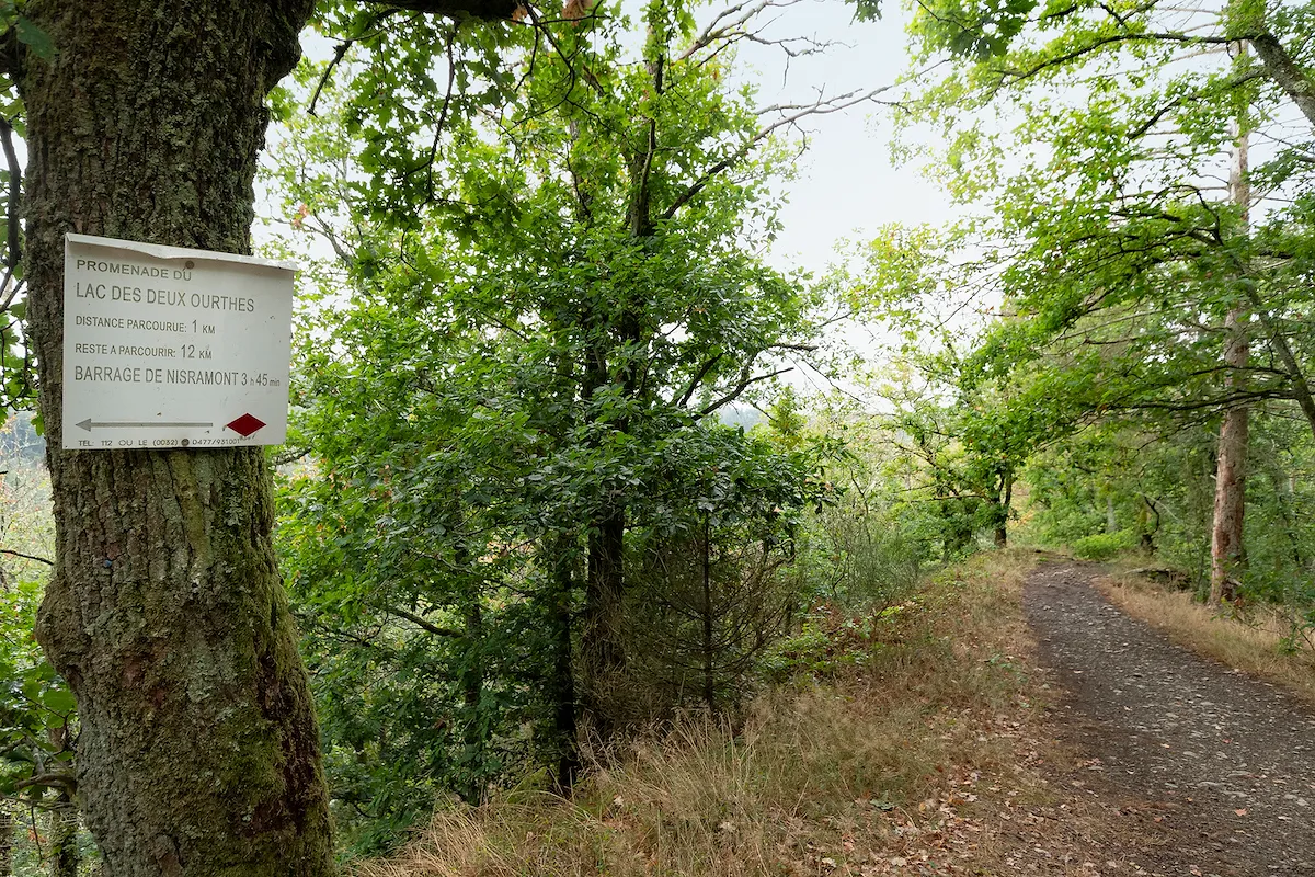 Entre lacs, forêts et vallées, ce parc naturel belge est l’endroit idéal pour des randonnées au printemps - WBT - Charlotte Princen - Lucile Moyon