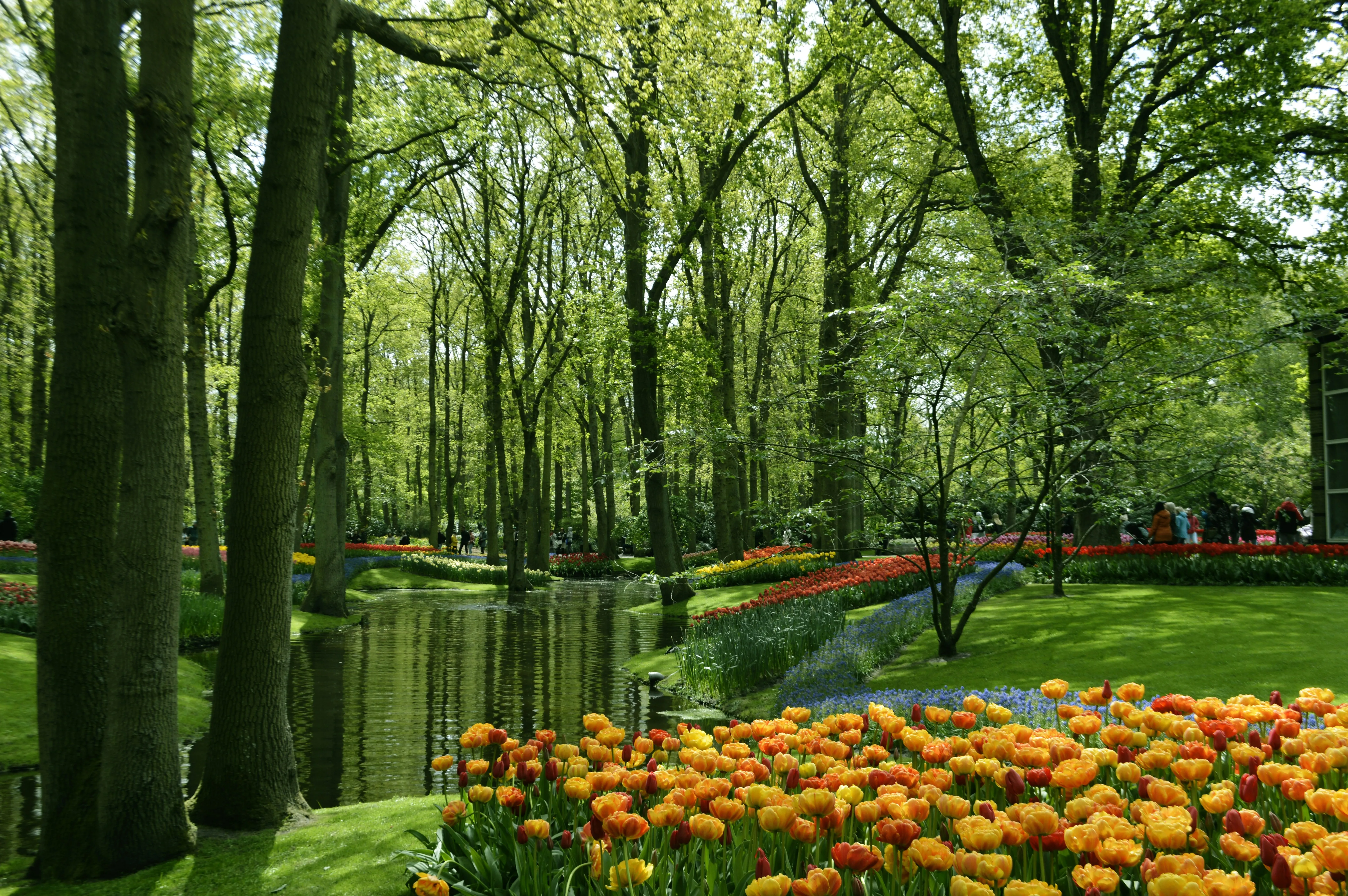 Cinq événements floraux à ne pas manquer en Belgique et ses alentours en avril - Unsplash. - Lucile Moyon
