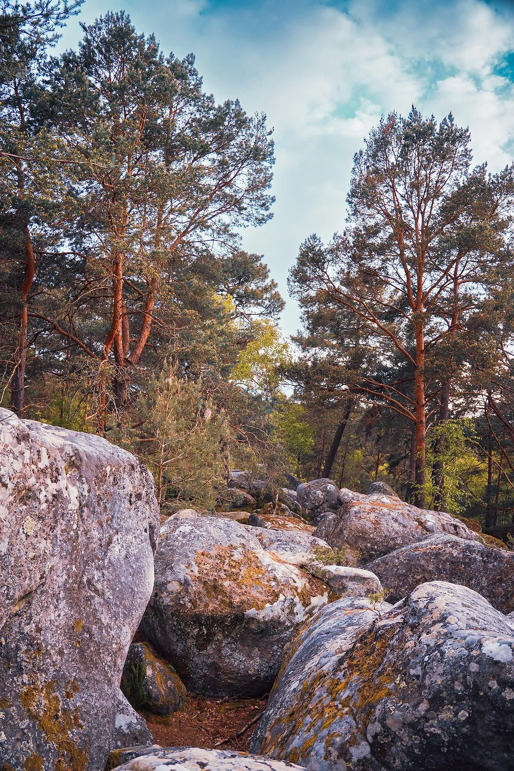 Une petite ville française proche de la Belgique est l’une des plus populaires de 2026 - Unsplash - Audrey Morard