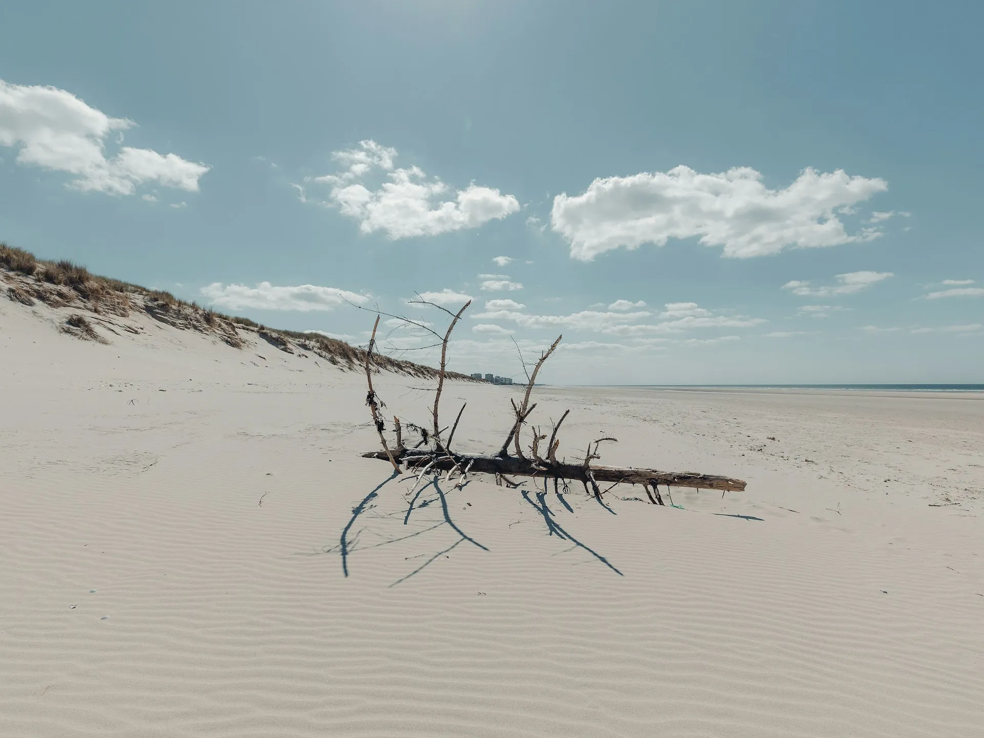 Long week-end de mai : le Boulonnais, le secret le mieux gardé de la Côte d’Opale - Unsplash - Romain Dancre - Sigrid Descamps - Journaliste