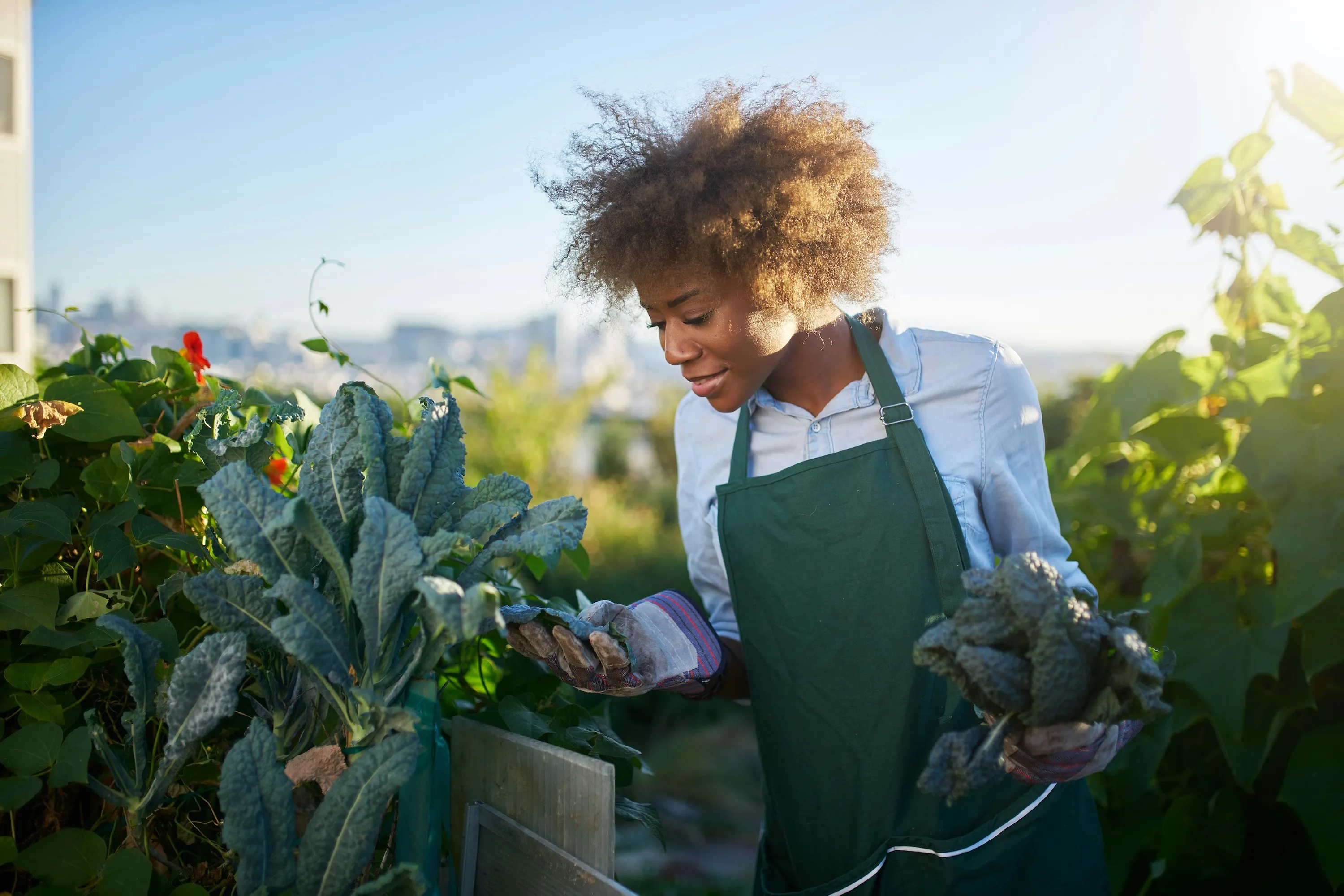 Saints de glace 2026 : les dates à retenir avant de planter au jardin - Unsplash - Audrey Morard
