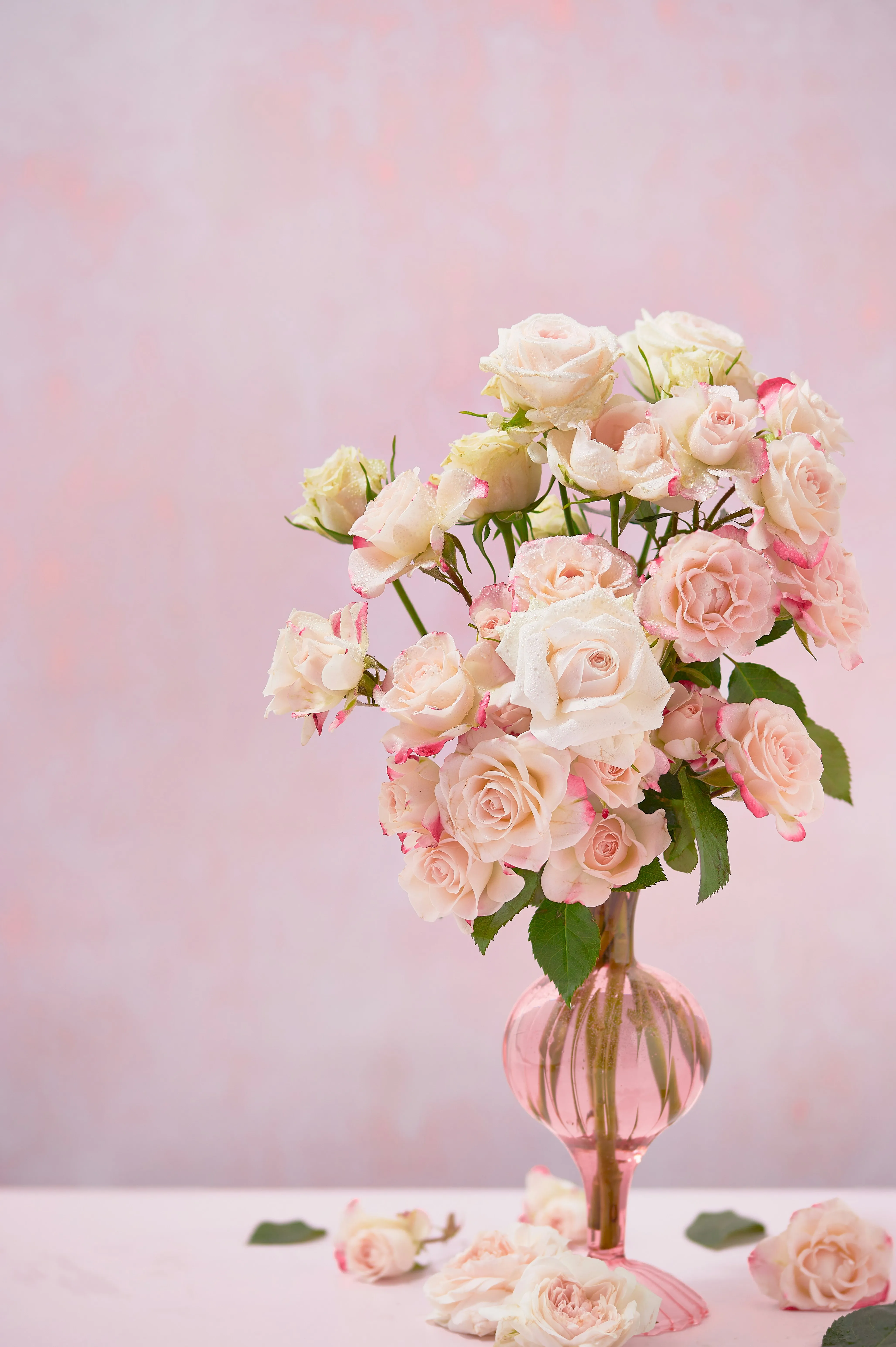 Fête des mères : cinq fleurs de saison à offrir à votre maman - Unsplash - Clarisse Dejardin