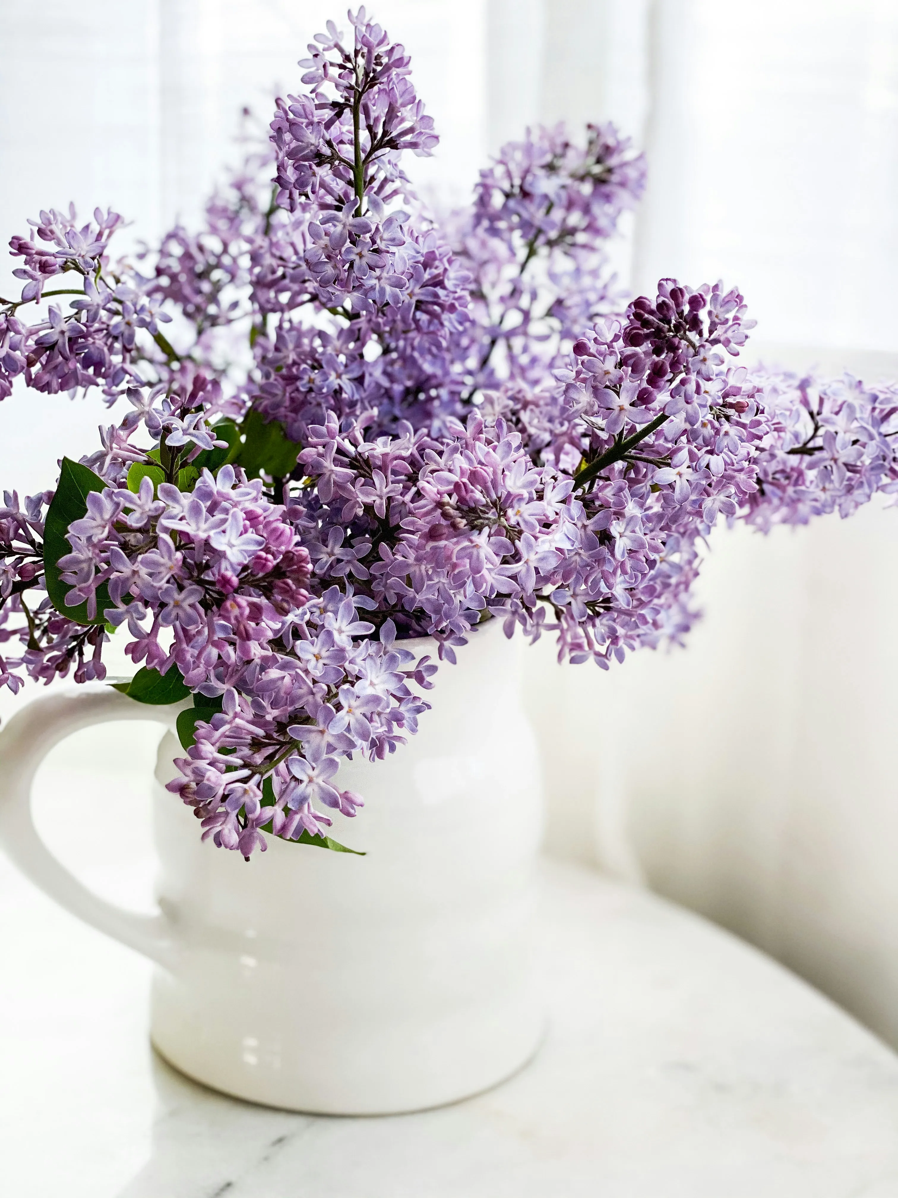 Fête des mères : cinq fleurs de saison à offrir à votre maman - Unsplash - Clarisse Dejardin