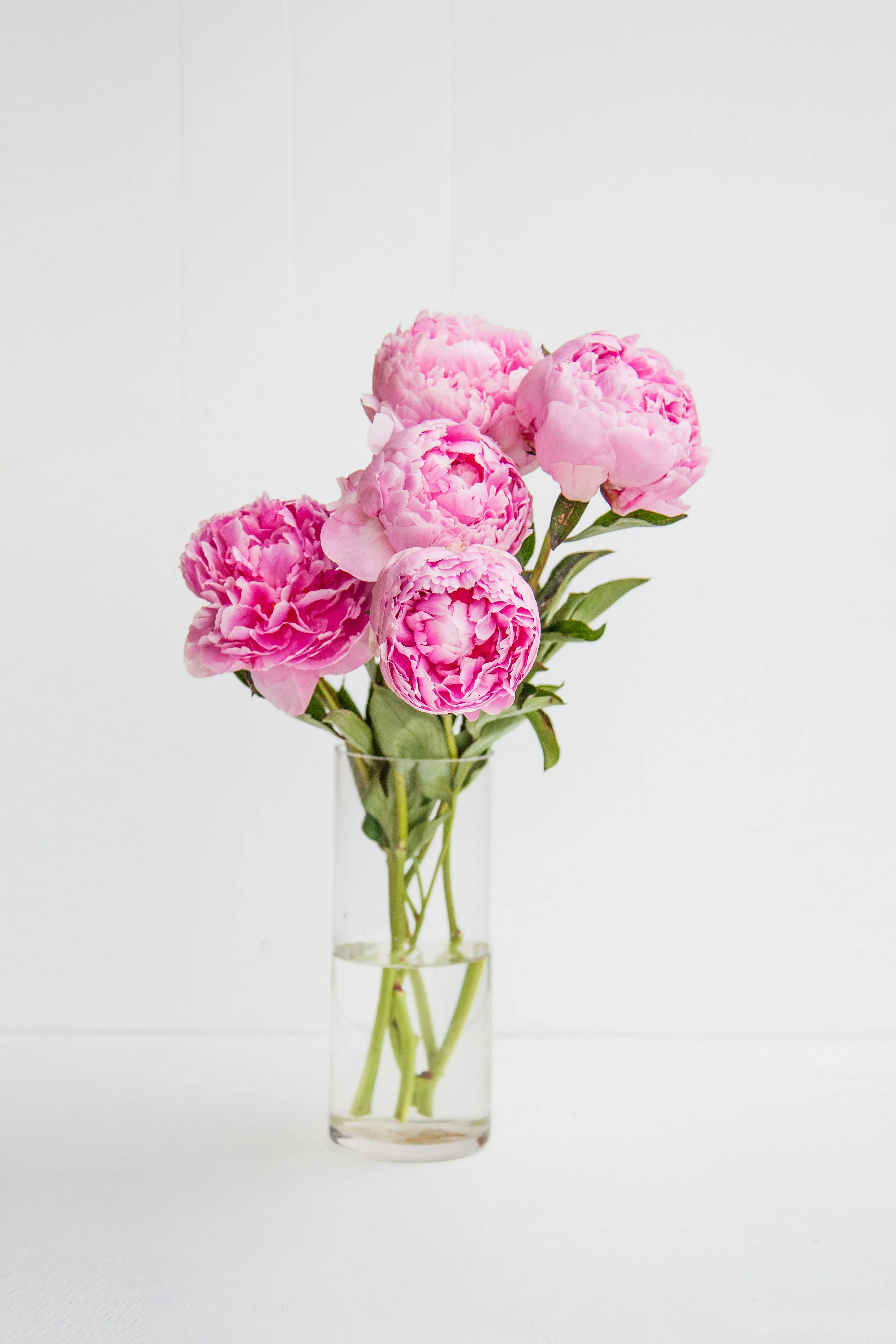 Fête des mères : cinq fleurs de saison à offrir à votre maman - Unsplash - Clarisse Dejardin