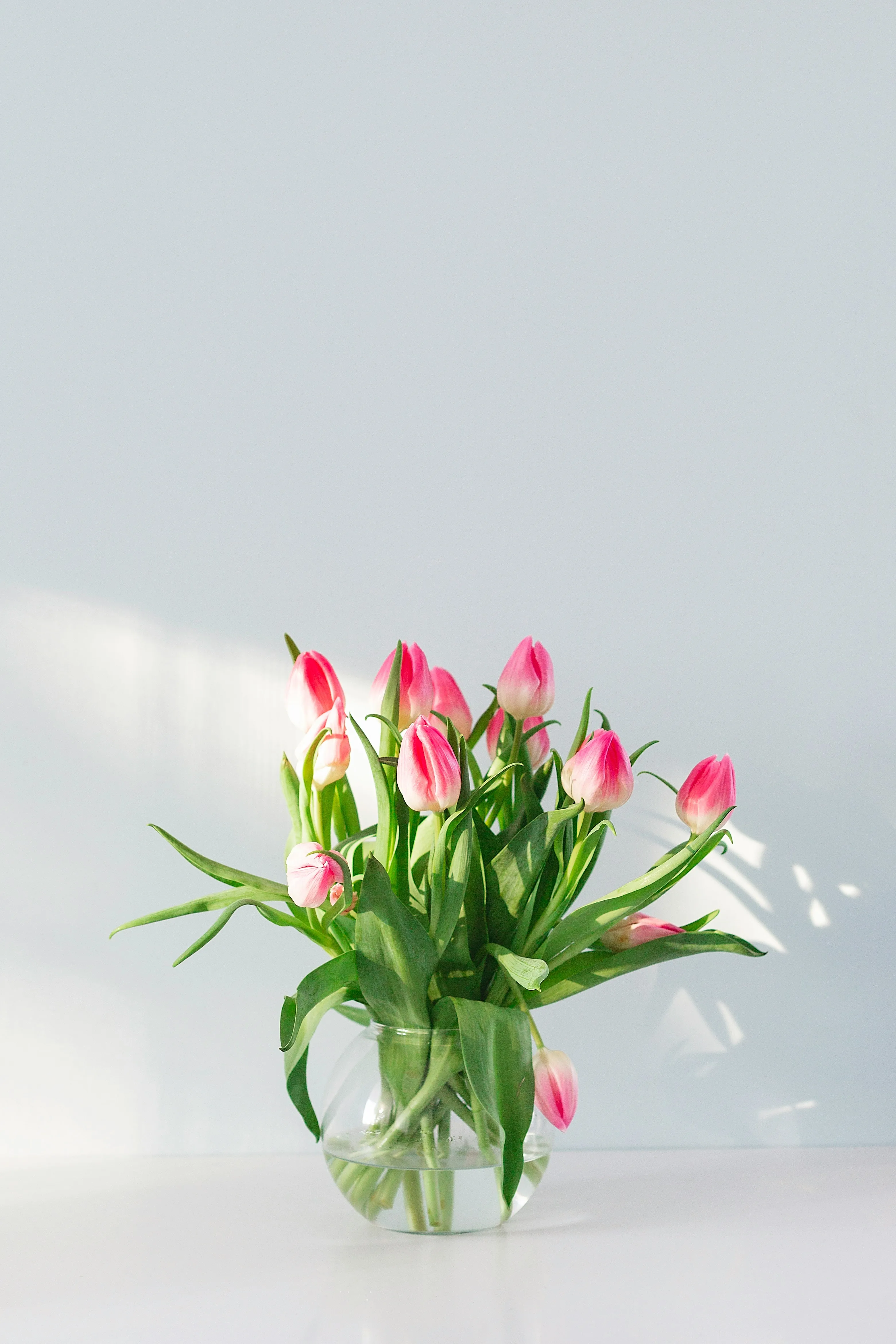 Fête des mères : cinq fleurs de saison à offrir à votre maman - Unsplash - Clarisse Dejardin