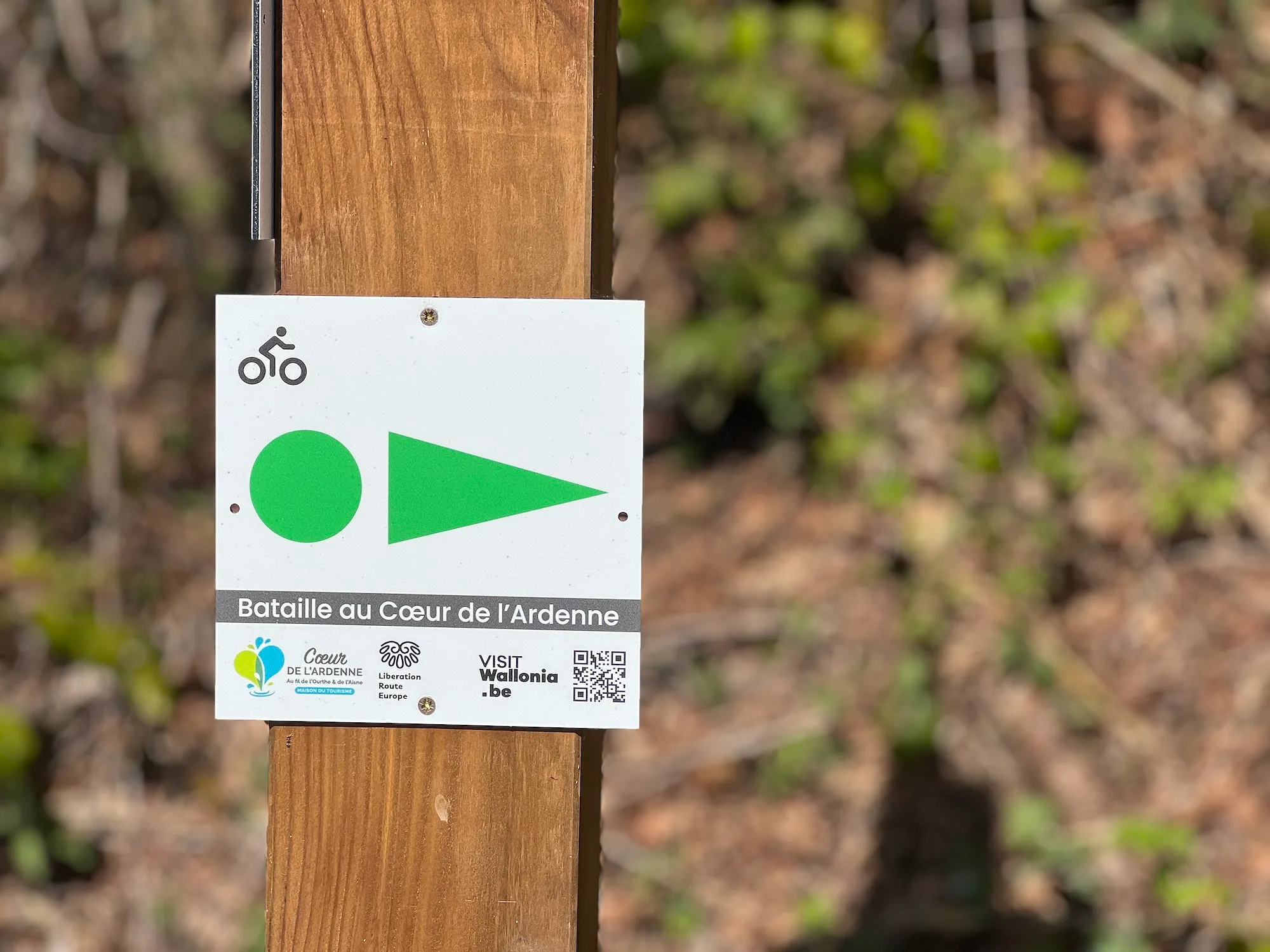 Un nouvel itinéraire vélo route vient d’ouvrir dans l’Ardenne belge - D.R - Audrey Morard