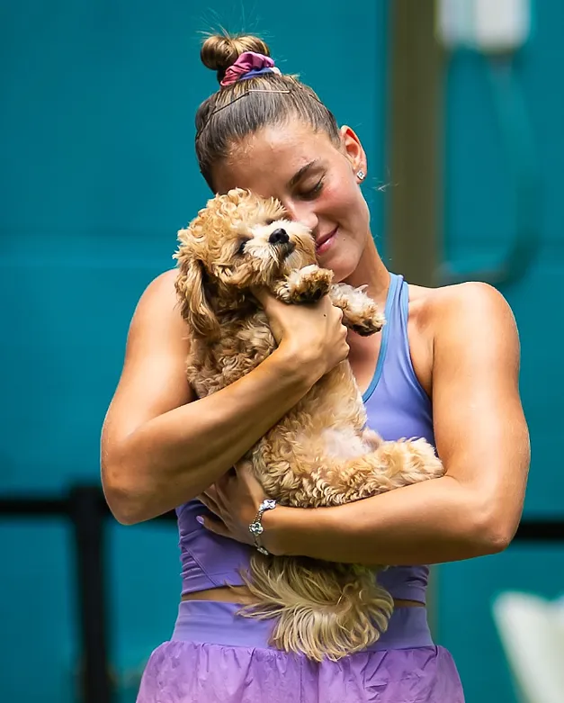 Massages, promenades et accréditation : à Roland-Garros, les chiens des joueurs sont traités comme des stars - Instagram Marta Kostyuk - Florian Lorge