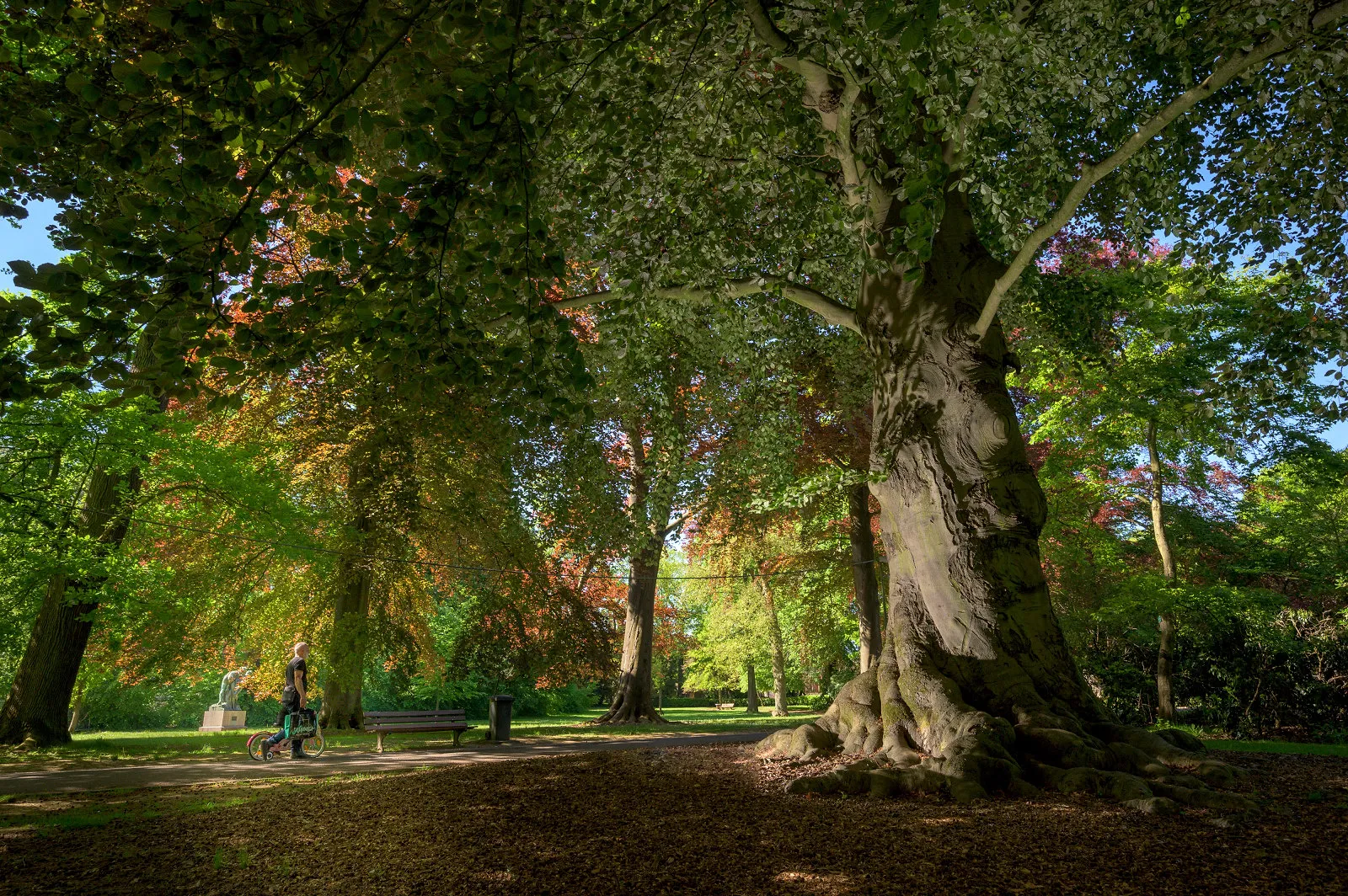 Art à l’hôtel, balade parmi les arbres… Trois sorties gratuites à Bruxelles et en Wallonie ce samedi 6 juin - Martin Dellicour - Visit Wallonia - Sigrid Descamps - Journaliste