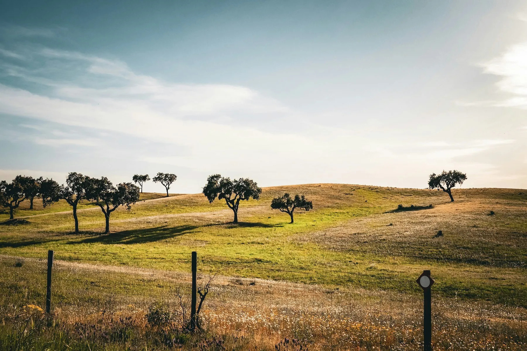 La Toscane portugaise, l’un des secrets les mieux gardés pour échapper au surtourisme - Unsplash - Audrey Morard