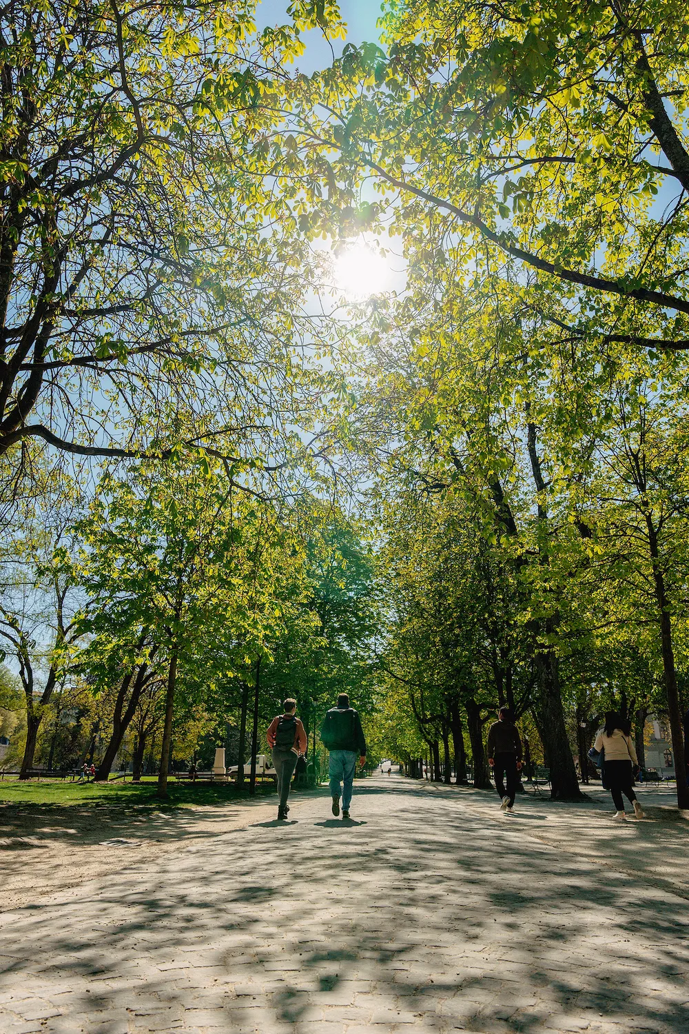 Notre top 10 des destinations à rejoindre en train pour un long week-end de mai : Genève (6/10) - Genève Tourisme - Audrey Morard