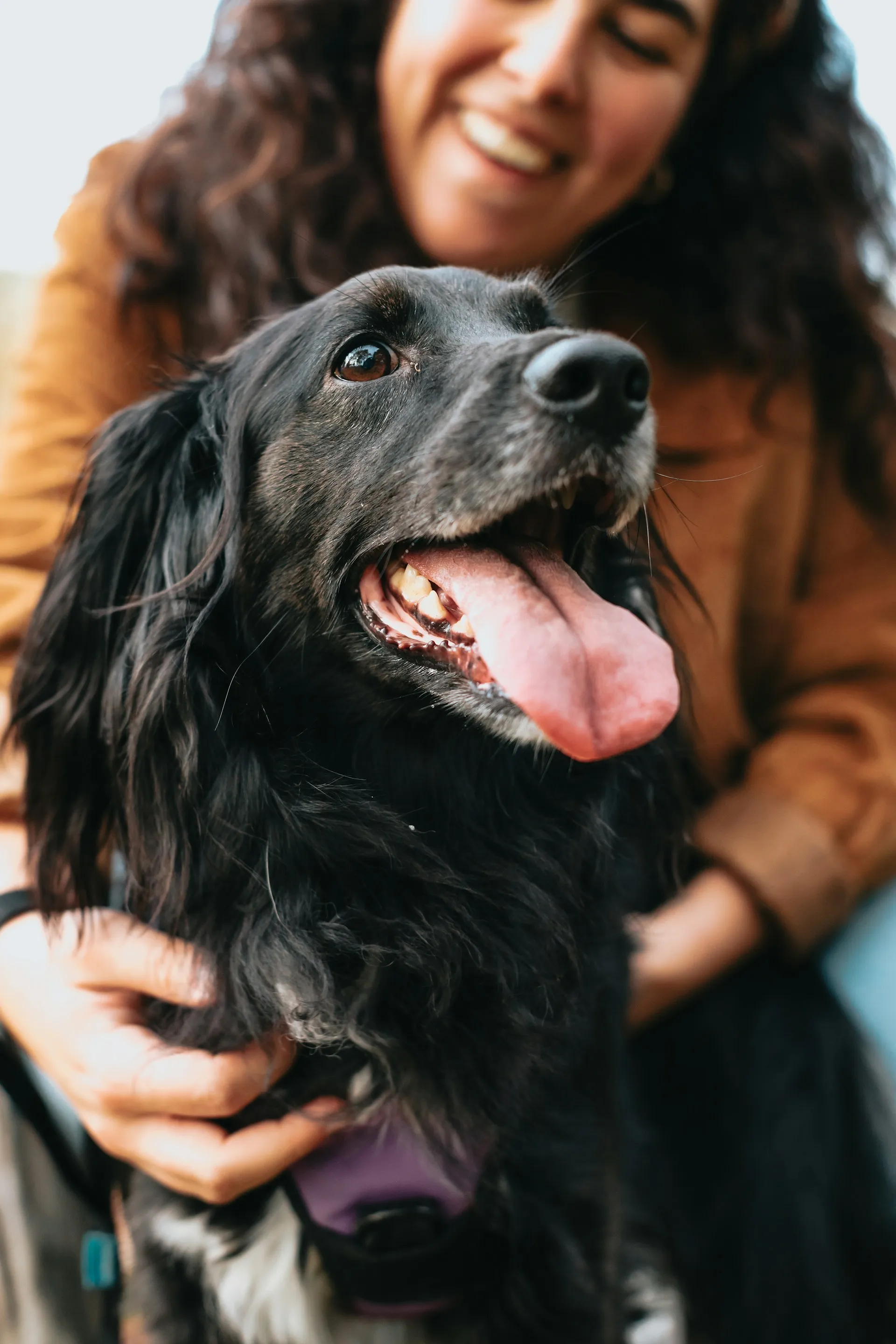 Une expo, du shopping qui a du chien ou une fête avec papa ? Nos idées de sorties pour ce dimanche 14 juin - Unsplash - Sigrid Descamps - Journaliste