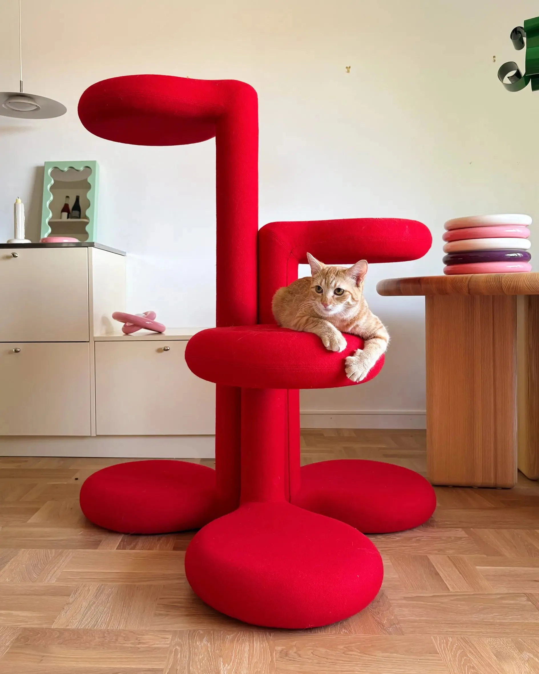 Pourquoi cet accessoire pour chats risque de faire un carton malgré son prix exorbitant - Gustaf Westman - Sigrid Descamps - Journaliste