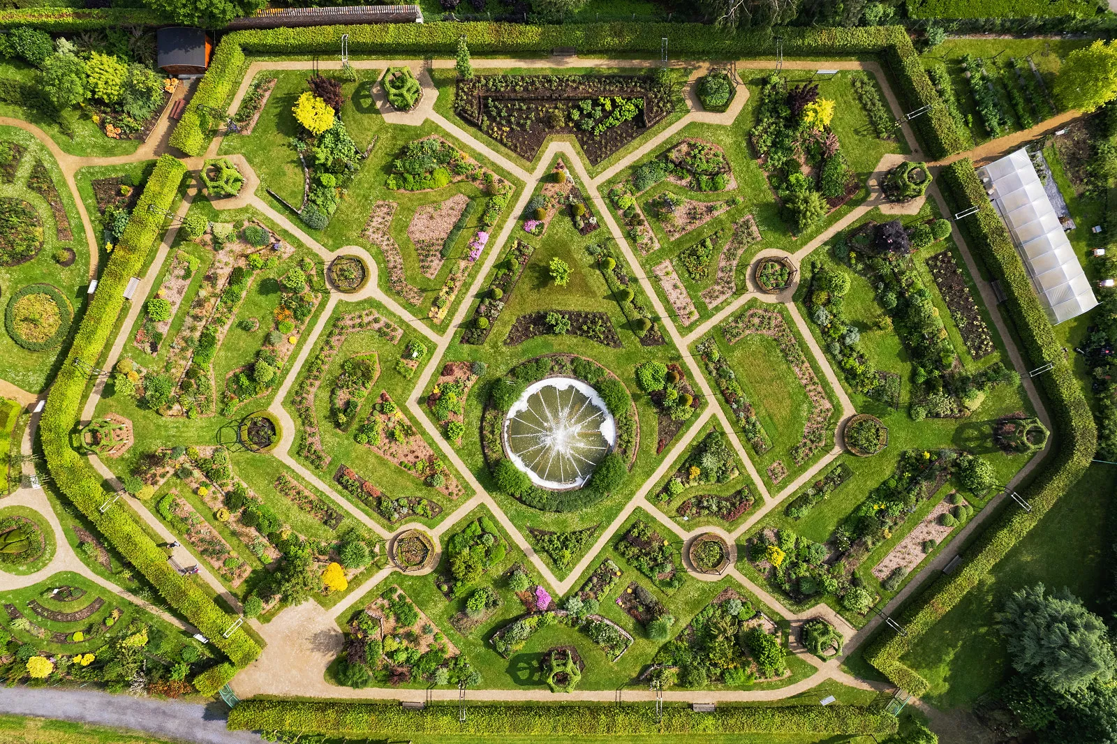 Cinq sublimes jardins de roses à admirer en Belgique - WBT-David Augusto Rocaberti Salamanca - Audrey Morard
