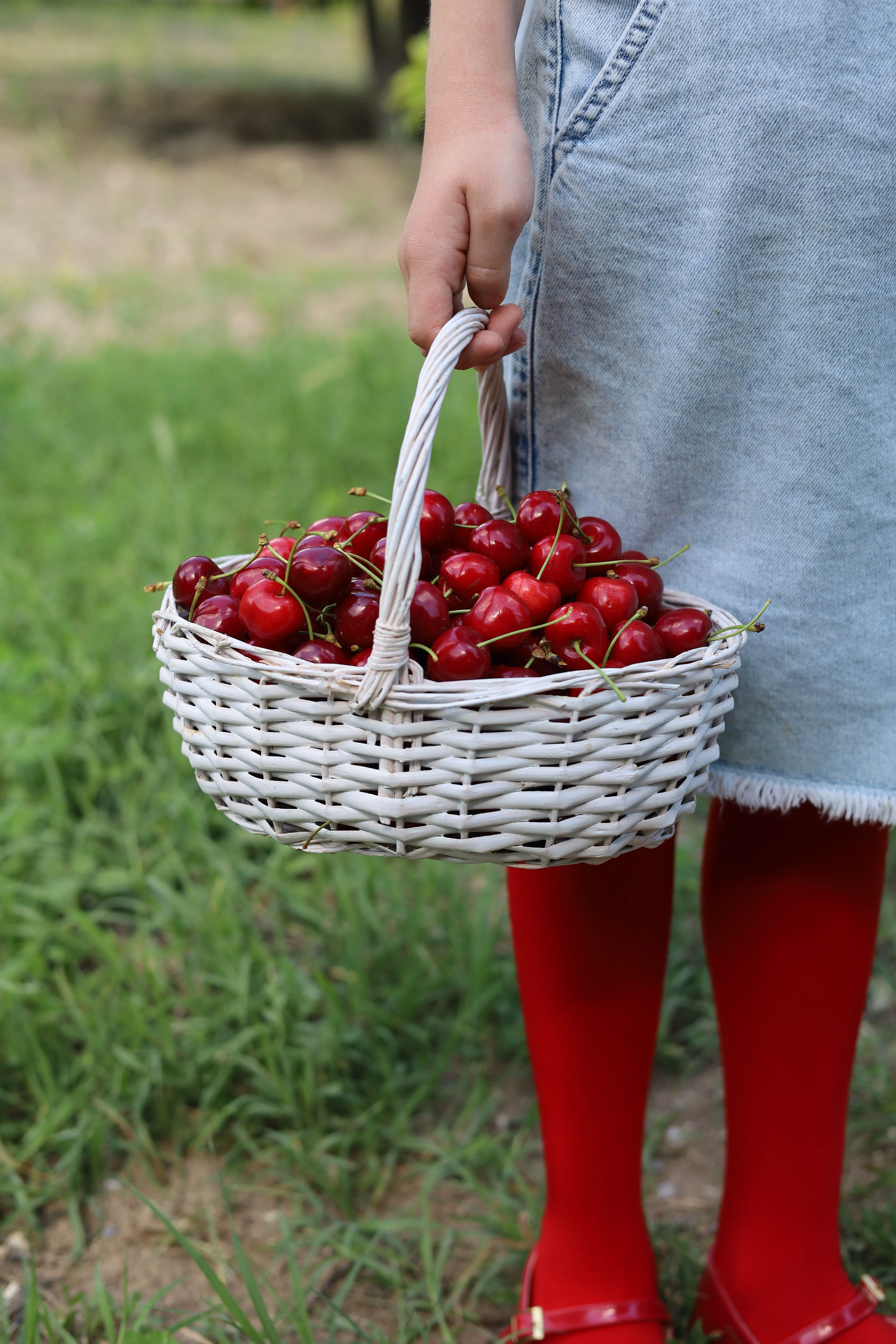 Des cocktails, des souvenirs, des cerises… trois idées de sorties pour ce dimanche 28 juin - Pexels - Sigrid Descamps - Journaliste