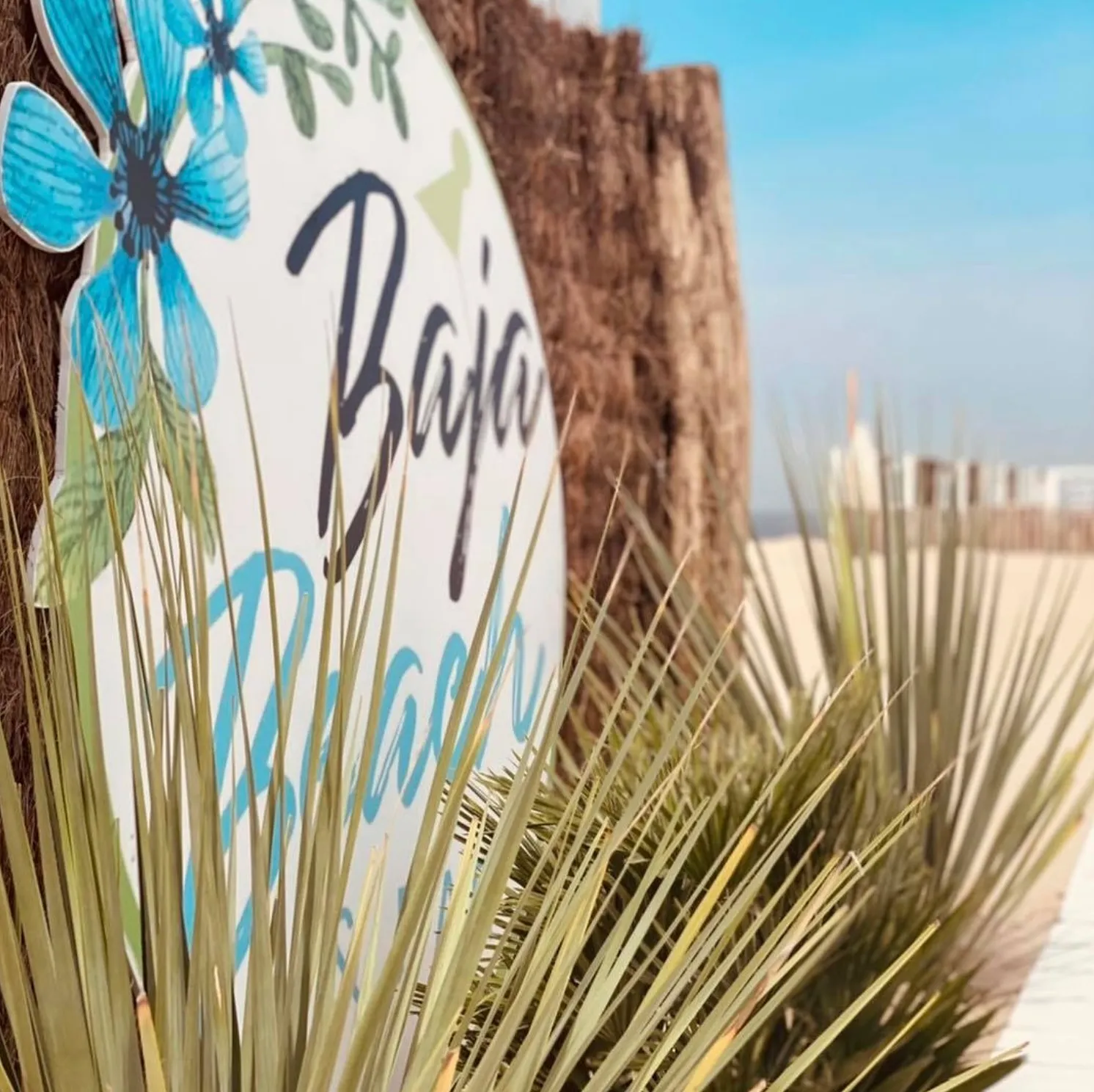 Le Coq : trois beach bars incontournables où profiter du soleil - Baja Beach bar - Clarisse Dejardin
