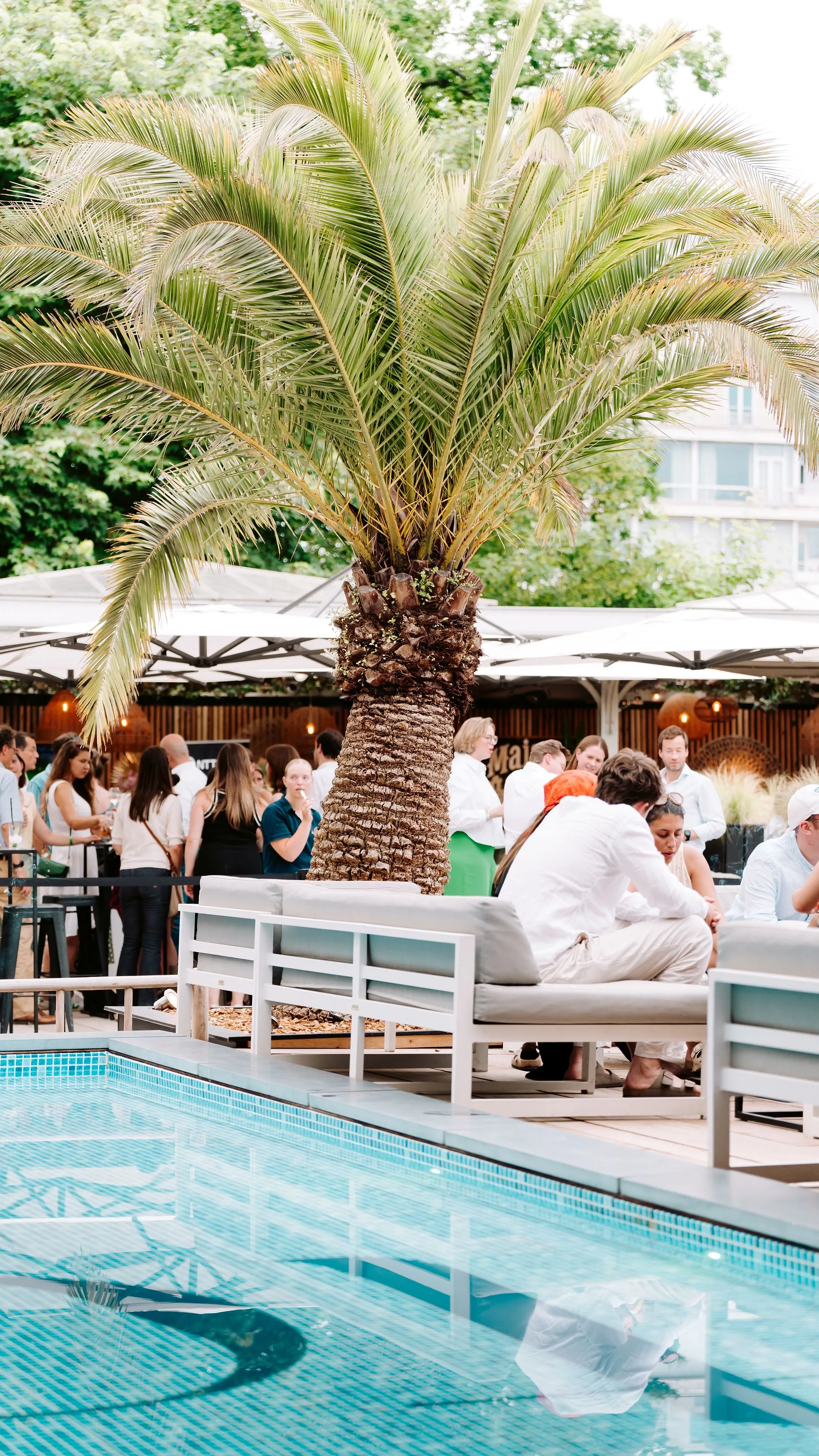 La success-story des fondateurs de la Terrasse O2 à Bruxelles : « Bientôt un projet pour l’hiver » - D.R. - Charlotte Vanbever