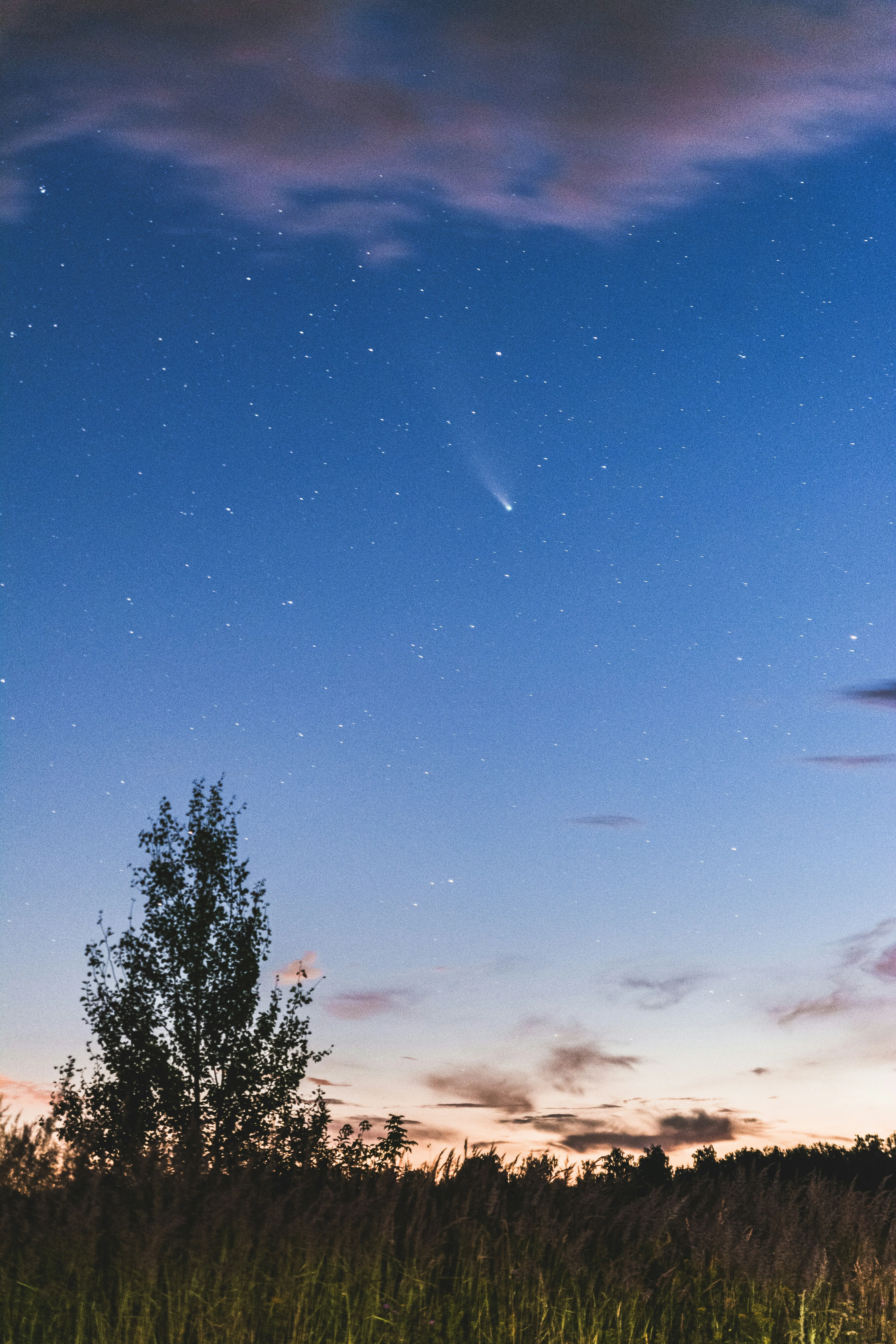 Voici la nuit où vous pourrez observer le plus d’étoiles filantes en Belgique cet été - Unsplash - Sigrid Descamps - Journaliste