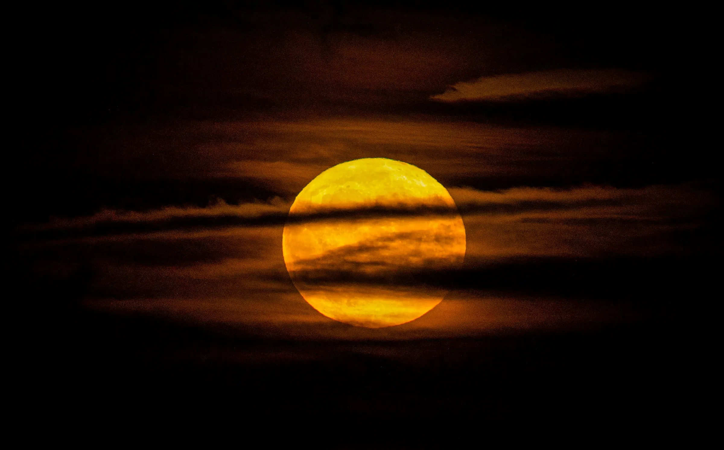 La Pleine Lune du Cerf arrive demain: on vous dit tout sur ce phénomène - Unsplash - Sigrid Descamps - Journaliste