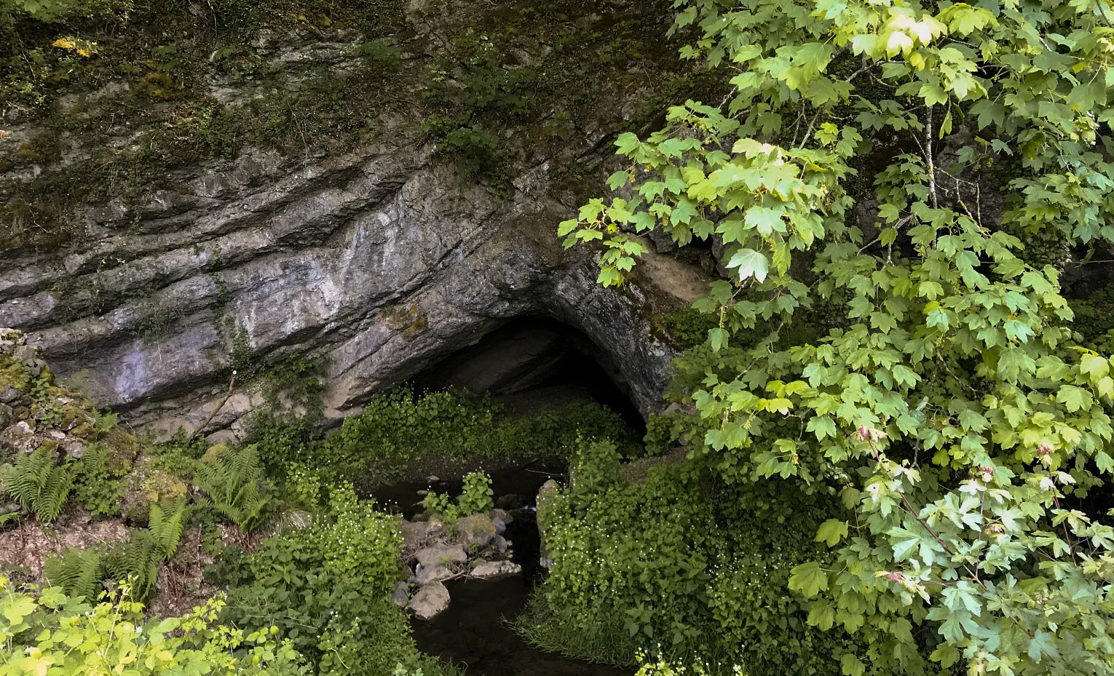 Vague de chaleur en Belgique : cinq grottes où se rafraîchir - OT Couvin - Sigrid Descamps - Journaliste